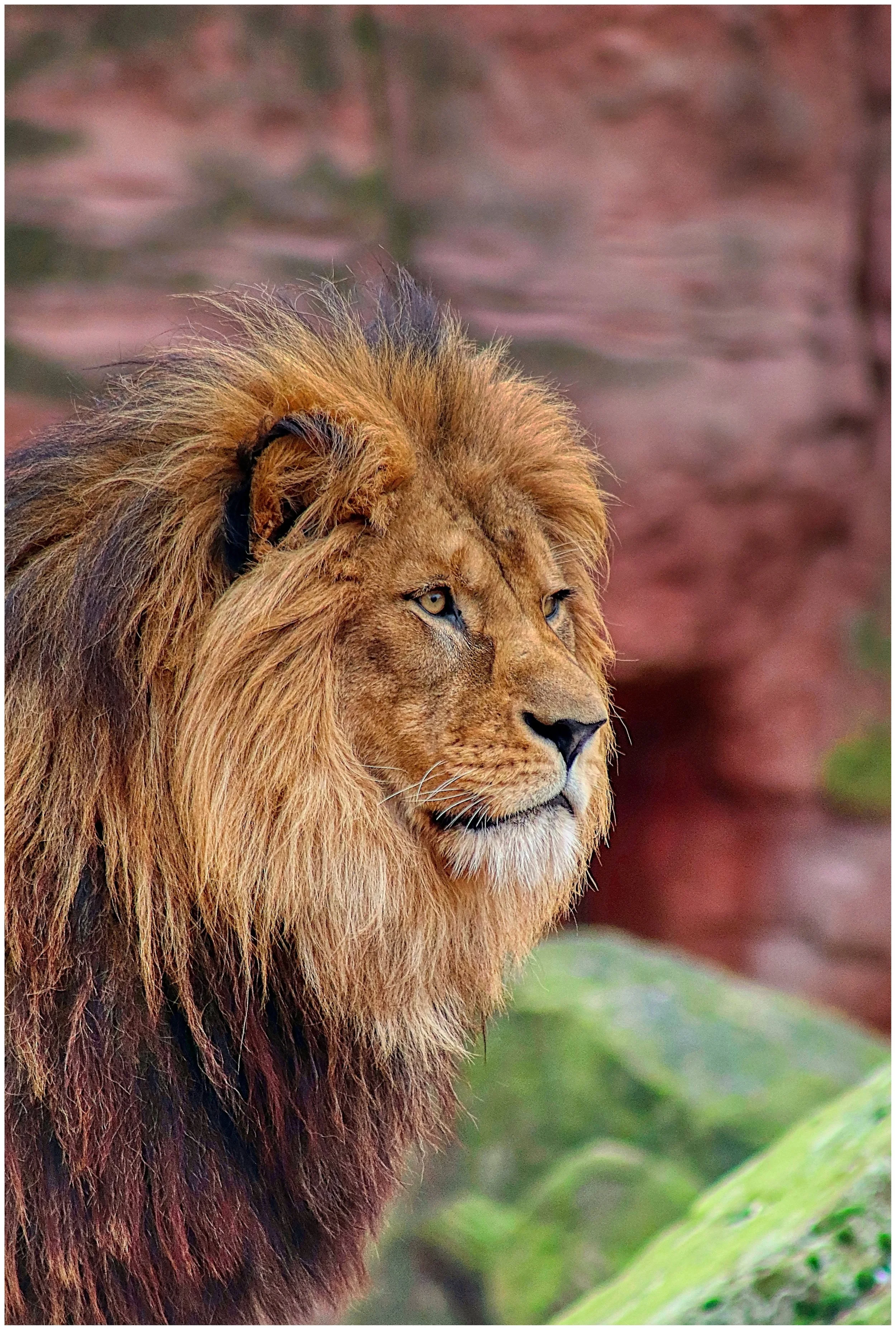 Every Man Is a King — And Here’s Why