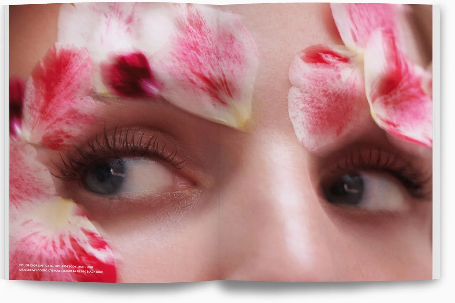 Nahaufnahme von einem Gesicht mit blauen Augen, umgeben von pinken und weißen Blütenblättern.