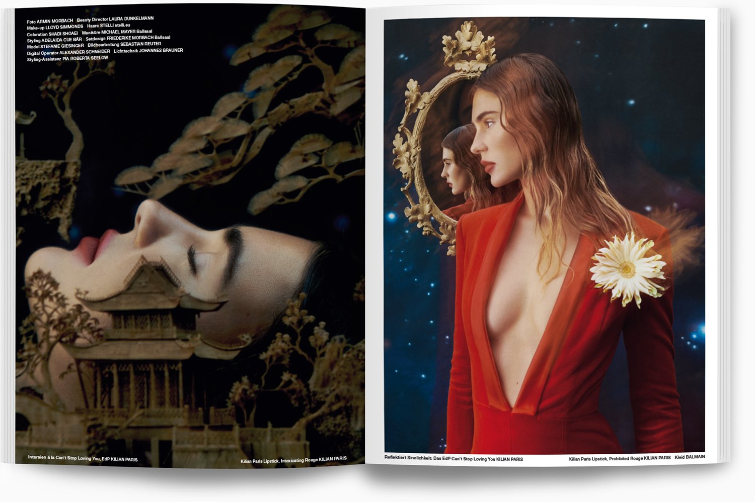 Zwei Frauen in künstlerischer Fotografie. Die linke Frau liegt mit geschlossenen Augen, umgeben von goldenen Pflanzen, und trägt kein sichtbares Make-up. Die rechte Frau steht in einem roten Kleid mit tiefem Ausschnitt, blickt nach rechts, mit einer 