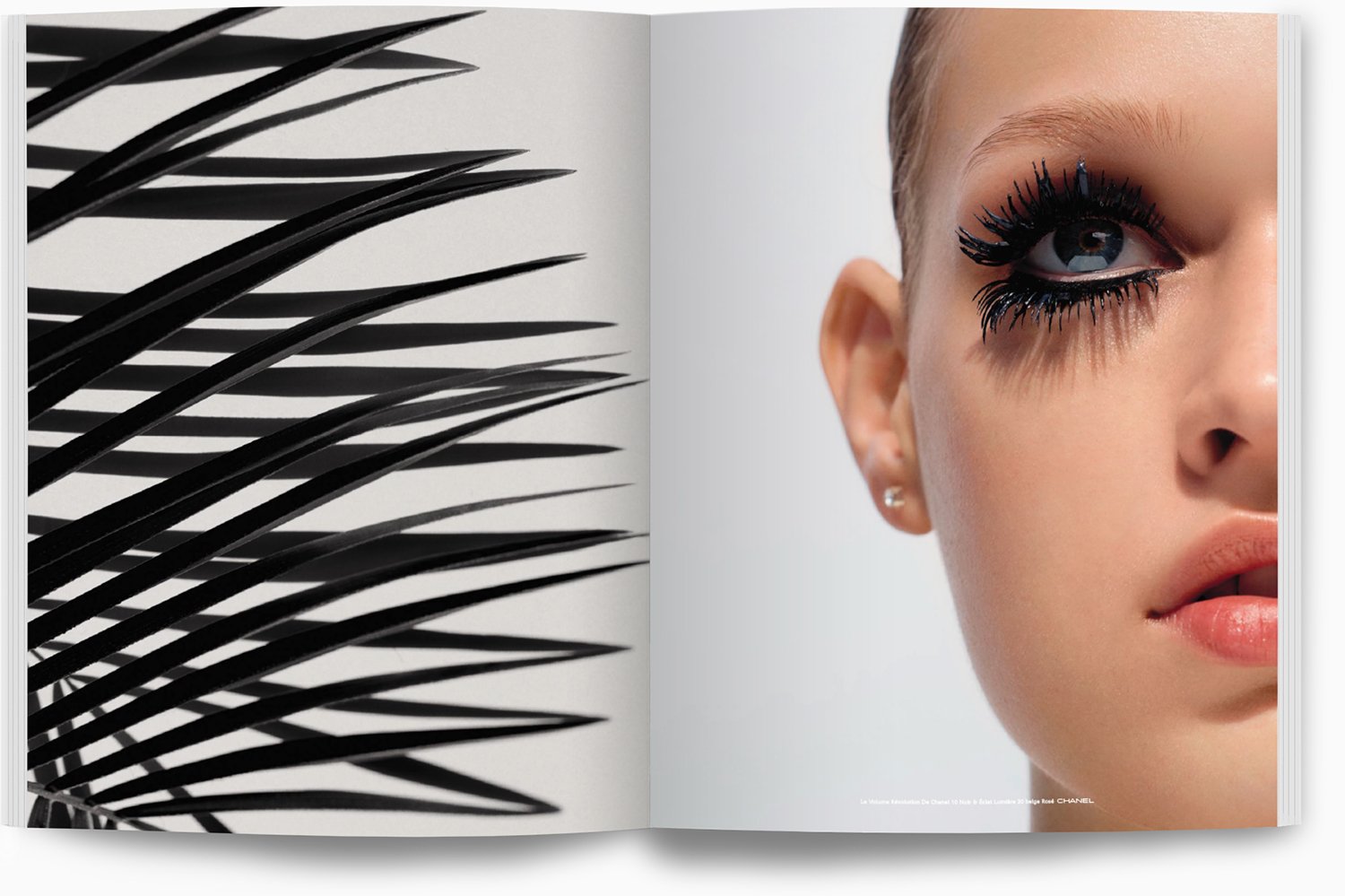 Eine Nahaufnahme eines Menschen mit auffällig kombiniertem Make-up an den Augen, daneben schwarze Palmenblätter auf weißem Hintergrund.