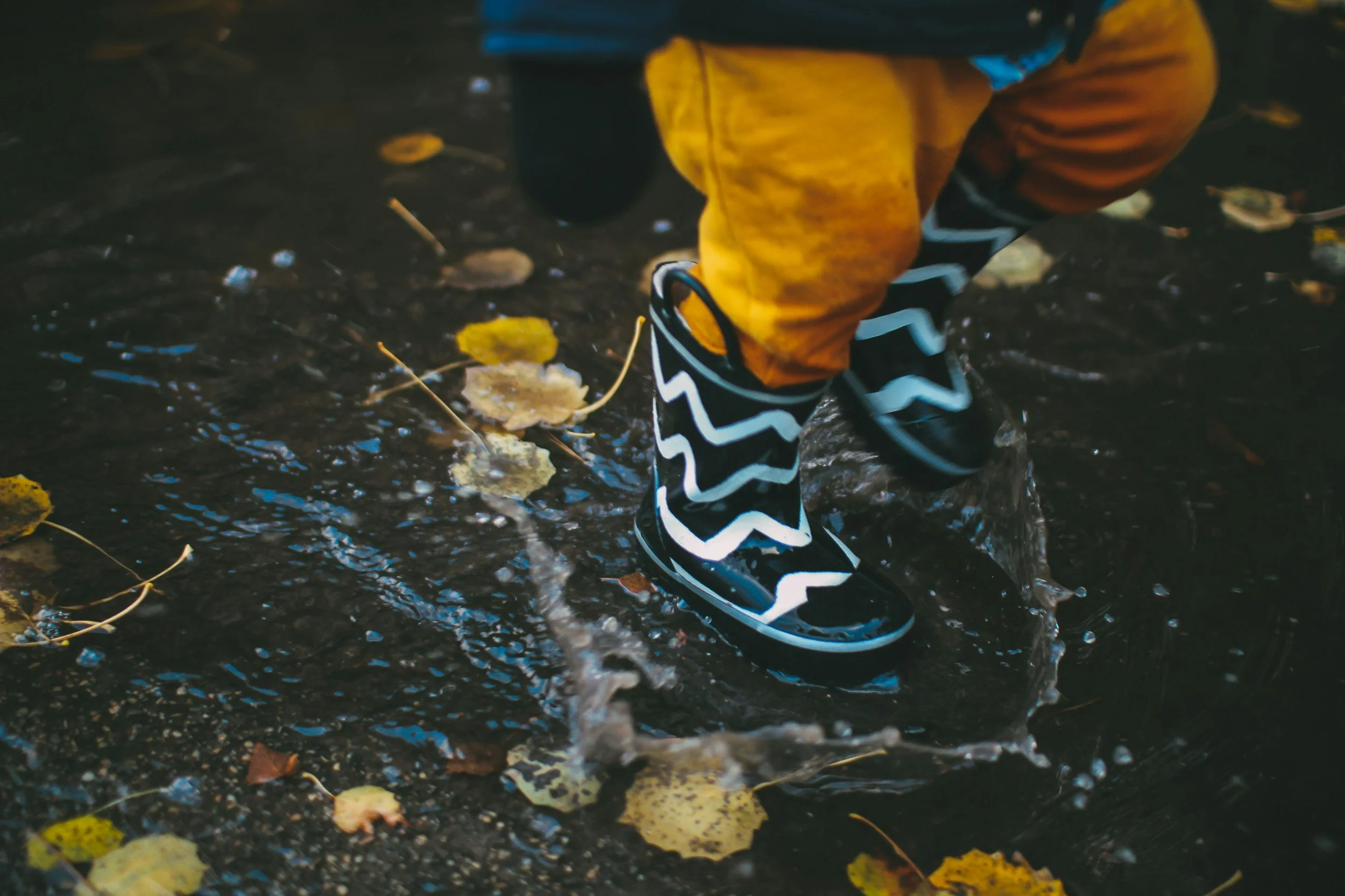 Child wearing black and white chevron rain boots, orange pants, and a blue jacket, splashing in a puddle on a rainy day, with yellow and brown autumn leaves on the wet ground.