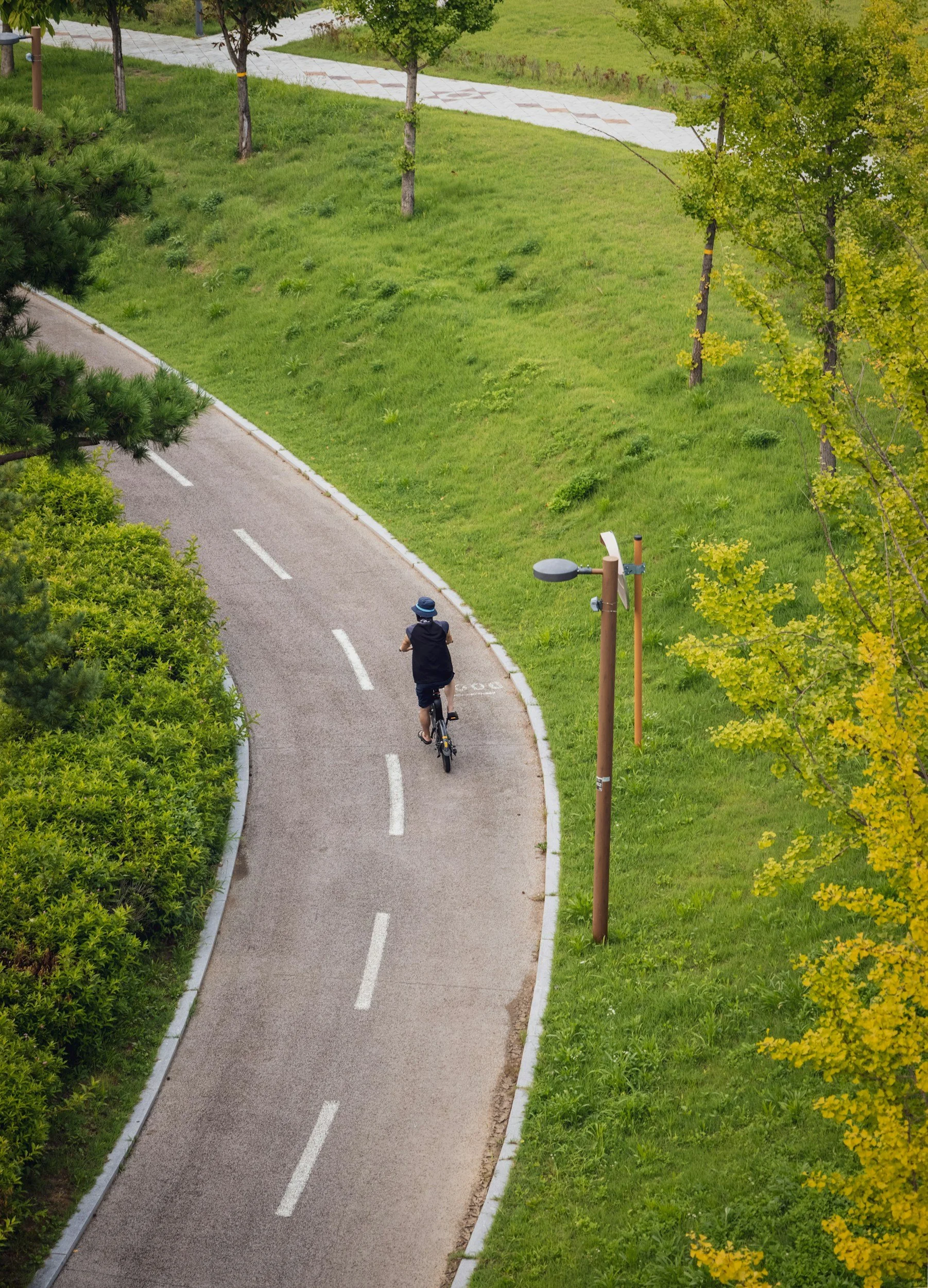 A person riding a bicycle on a curved bike path in a park with green grass and trees.