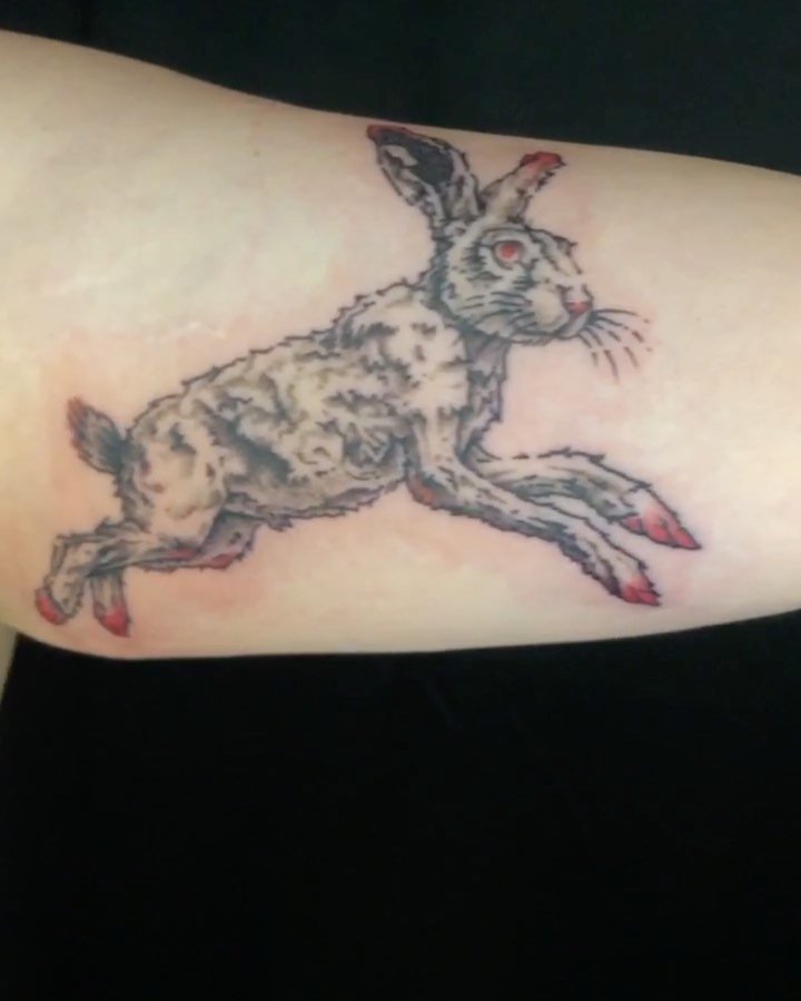 🐇 Wild albino hare tattoo for Emily 💁&zwj;♀️

I tried to make this one insane and have like 2 heads and all kinds of crazy stuff but Emily kept me in check. 💪 thanks for that cuz this turned out amazing! 🌞❤️
.
Done at @burning.hand 
.
Now booking