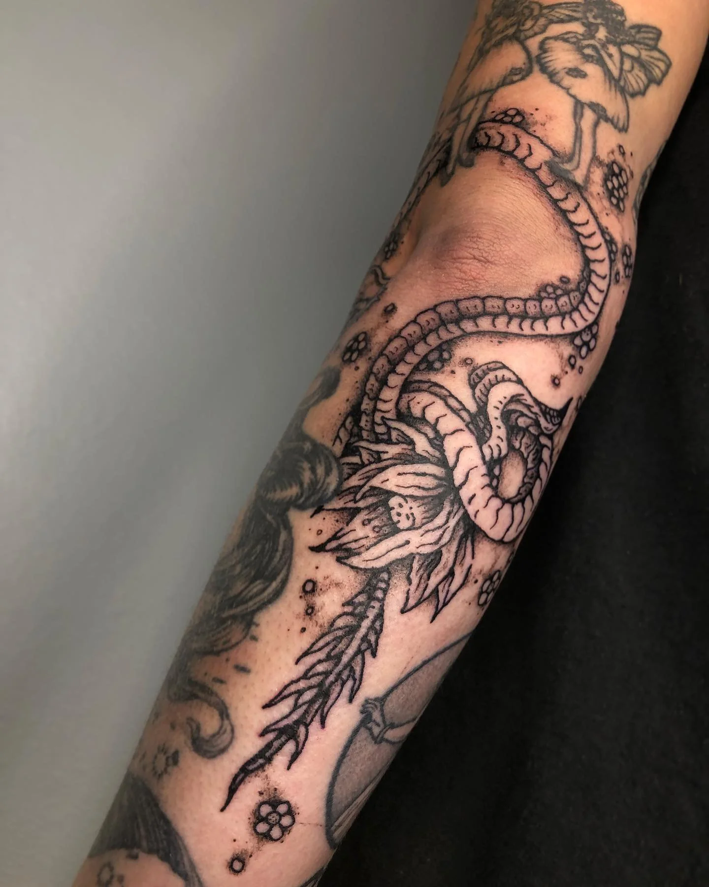 Wrap around dragon biz for sarah 🐉 
This one was fun, I got to hand draw quite a bit of it to fit the space and that&rsquo;s always a blast. 🔥 Big thanks to sarah for supporting me and getting so many damn tatts from me! ❤️

Done at @burning.hand 
