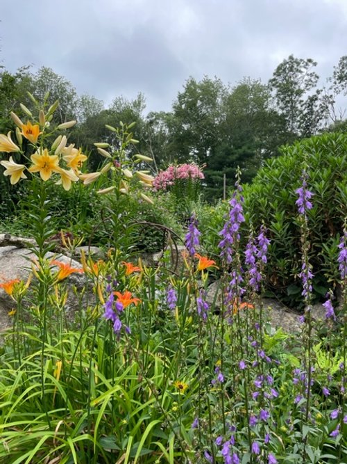 garden2.jpeg