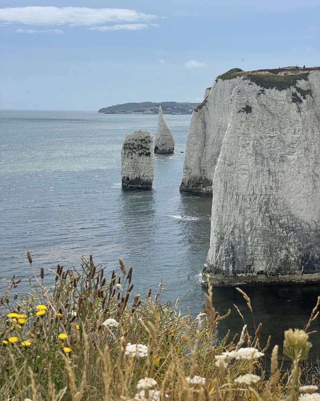 #oldharryrocks #dorset #seastacks #england #jurrasiccoast #sea #whitecliffs