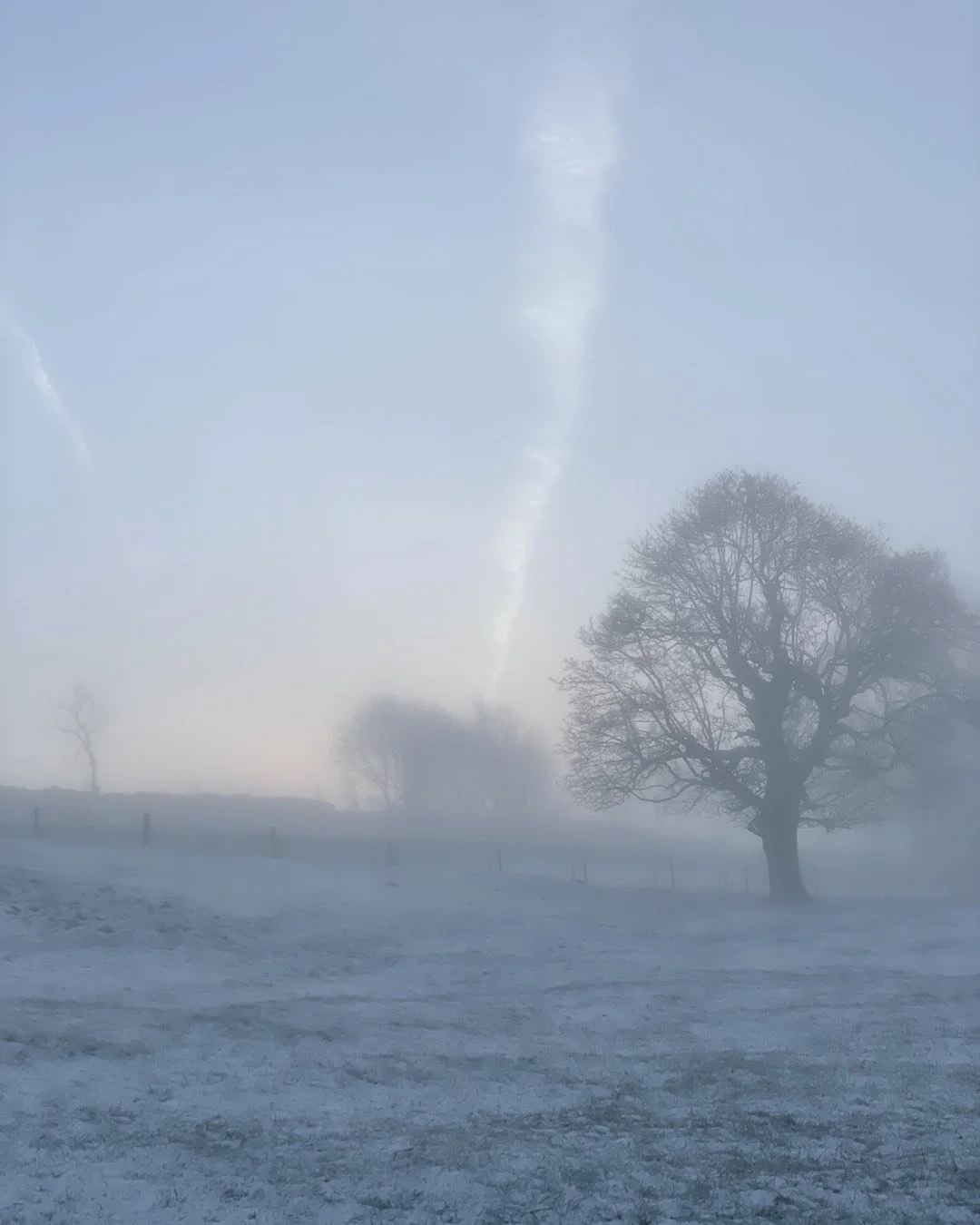#peakdistrict #peaks #snow #mist #morning #trees #sunrise
