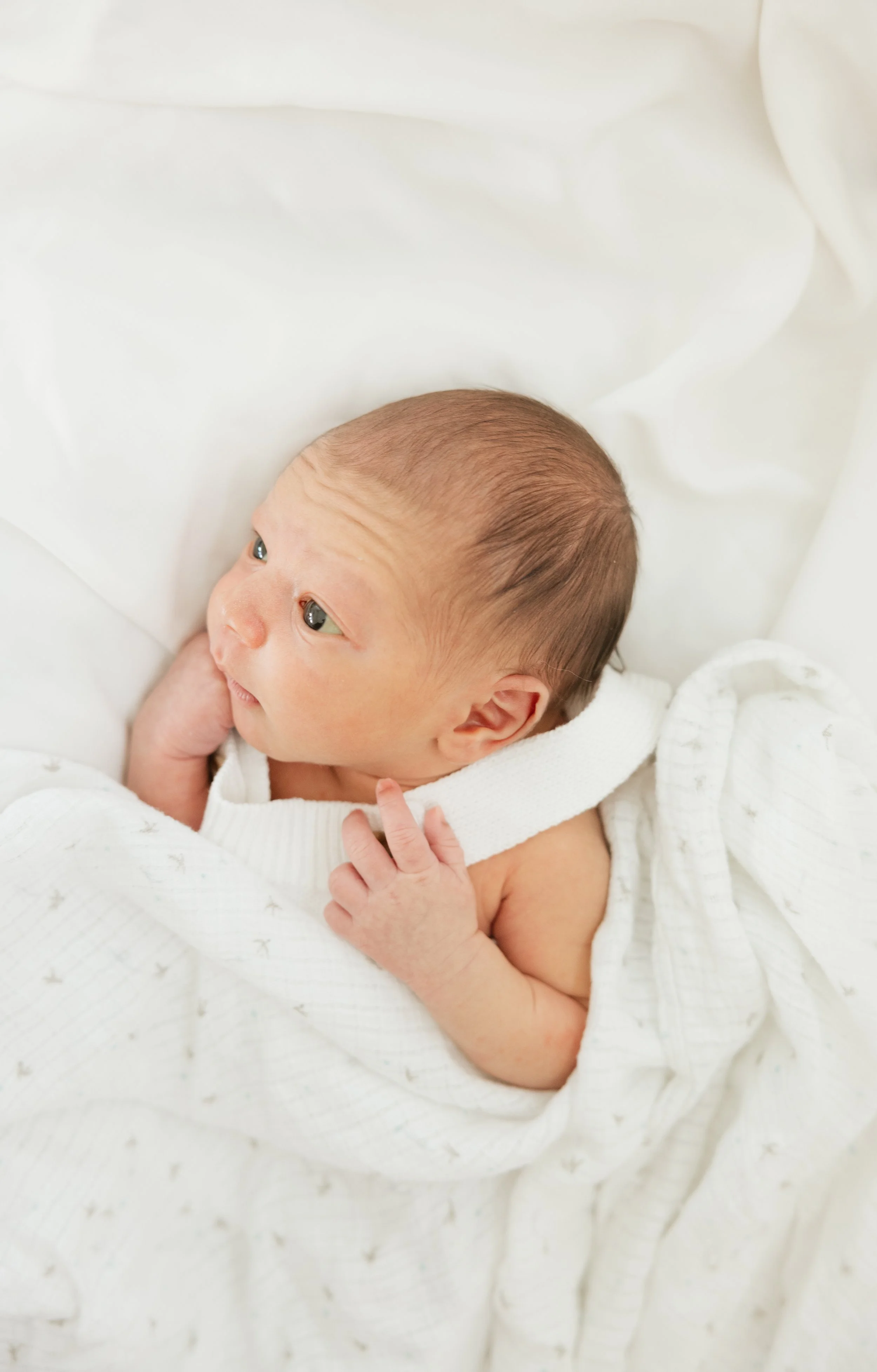 Newborn