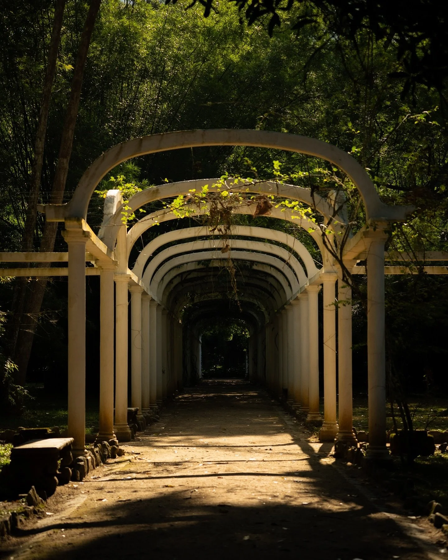 There&rsquo;s something about this scene&mdash;the golden light, the quiet arches, and the way it all feels so still. It makes you wonder where the path leads. 

What memory would you want to create in Brasil?

Book your session now!