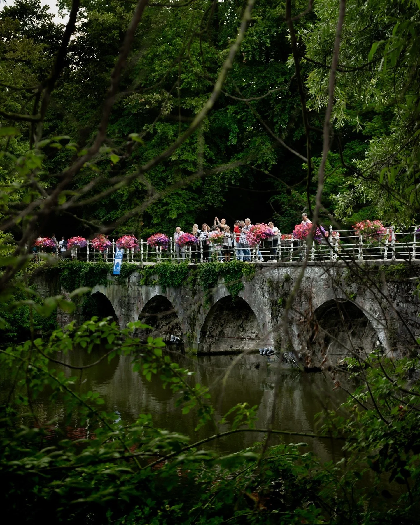 This bridge feels like a passage to another world&mdash;surrounded by greenery, flowers, and endless charm.

Would you explore a place like this?

Book your session today, and let&rsquo;s create something beautiful.