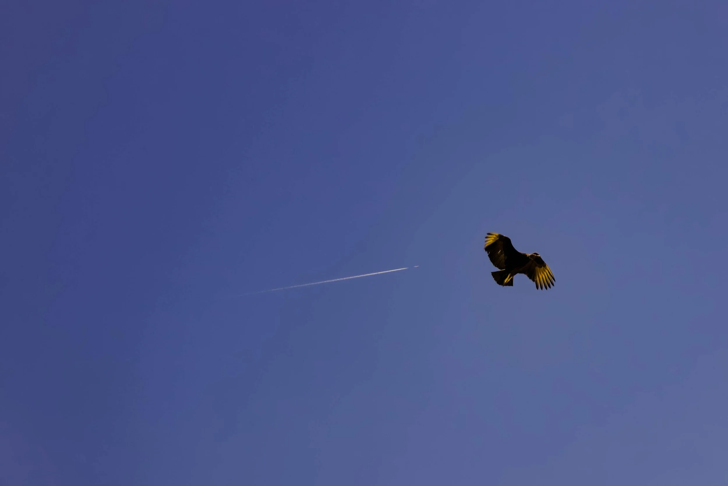 192a-8.jpg