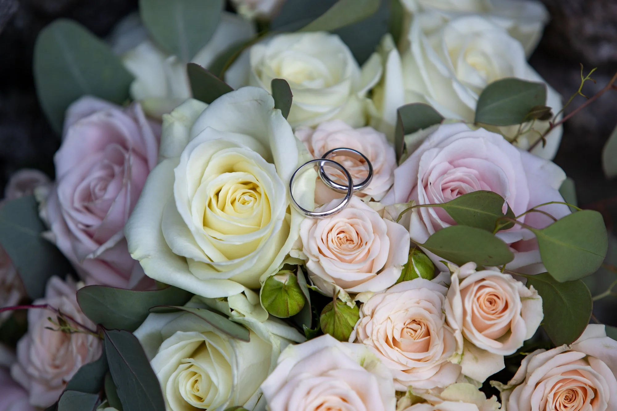 Fiori di rose bianchi, crema e rosa pallido decorano con due anelli di matrimonio posati sopra i fiori.
