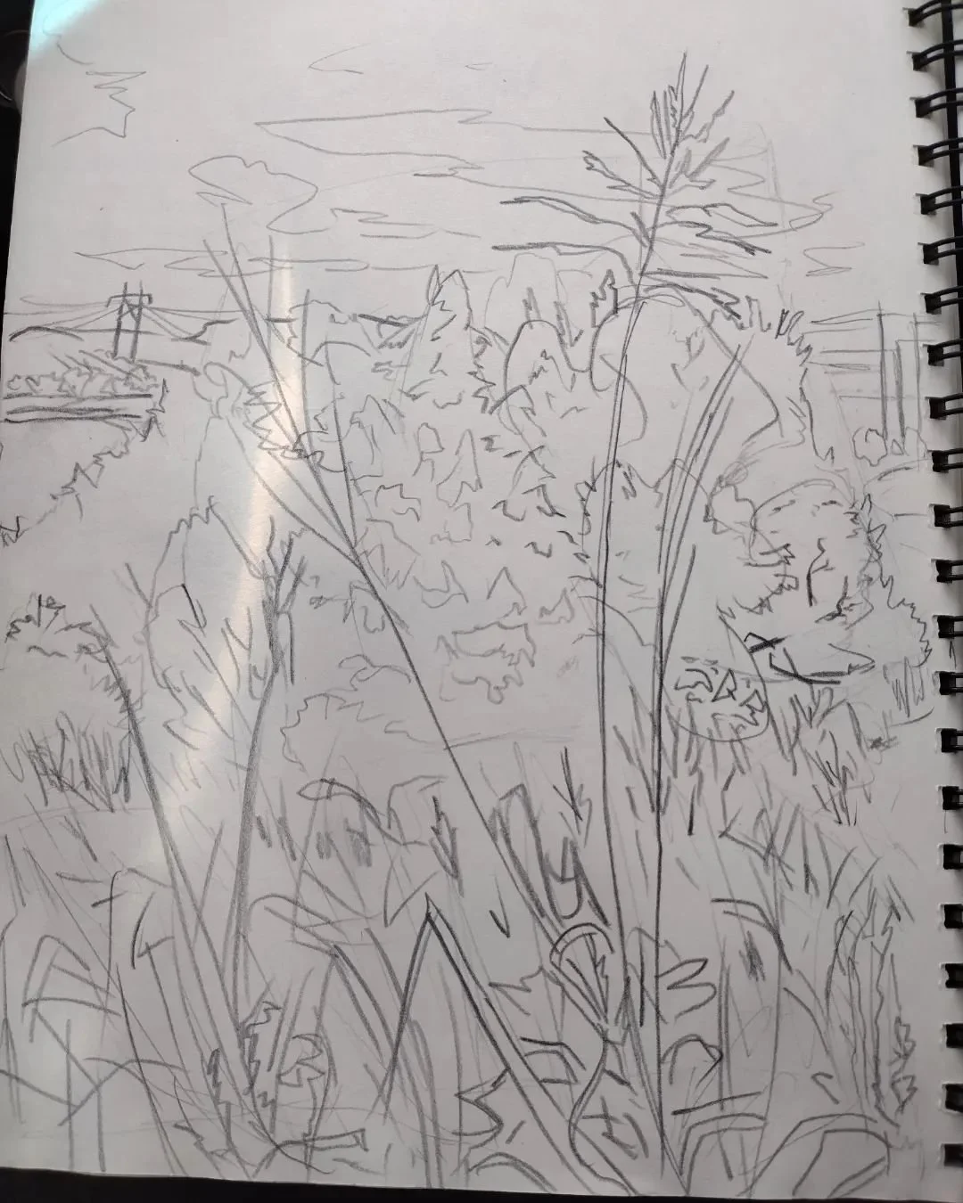 At Gartside.  Sidney,Mt