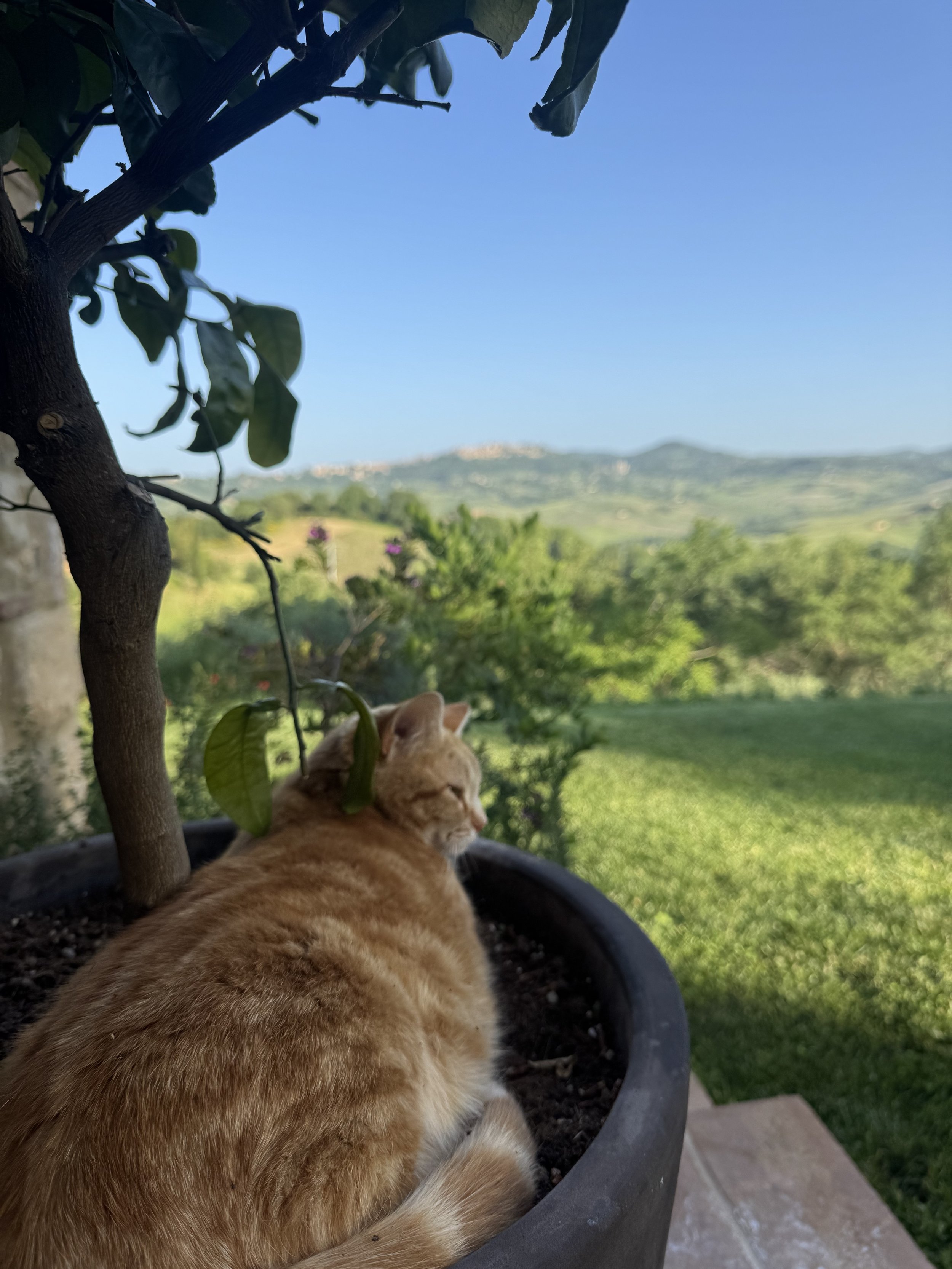 Caterina also likes the view
