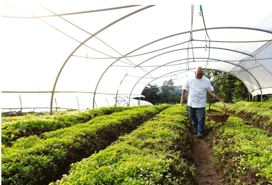 Farm-to-Table Dinner with Chef Jose Gomez