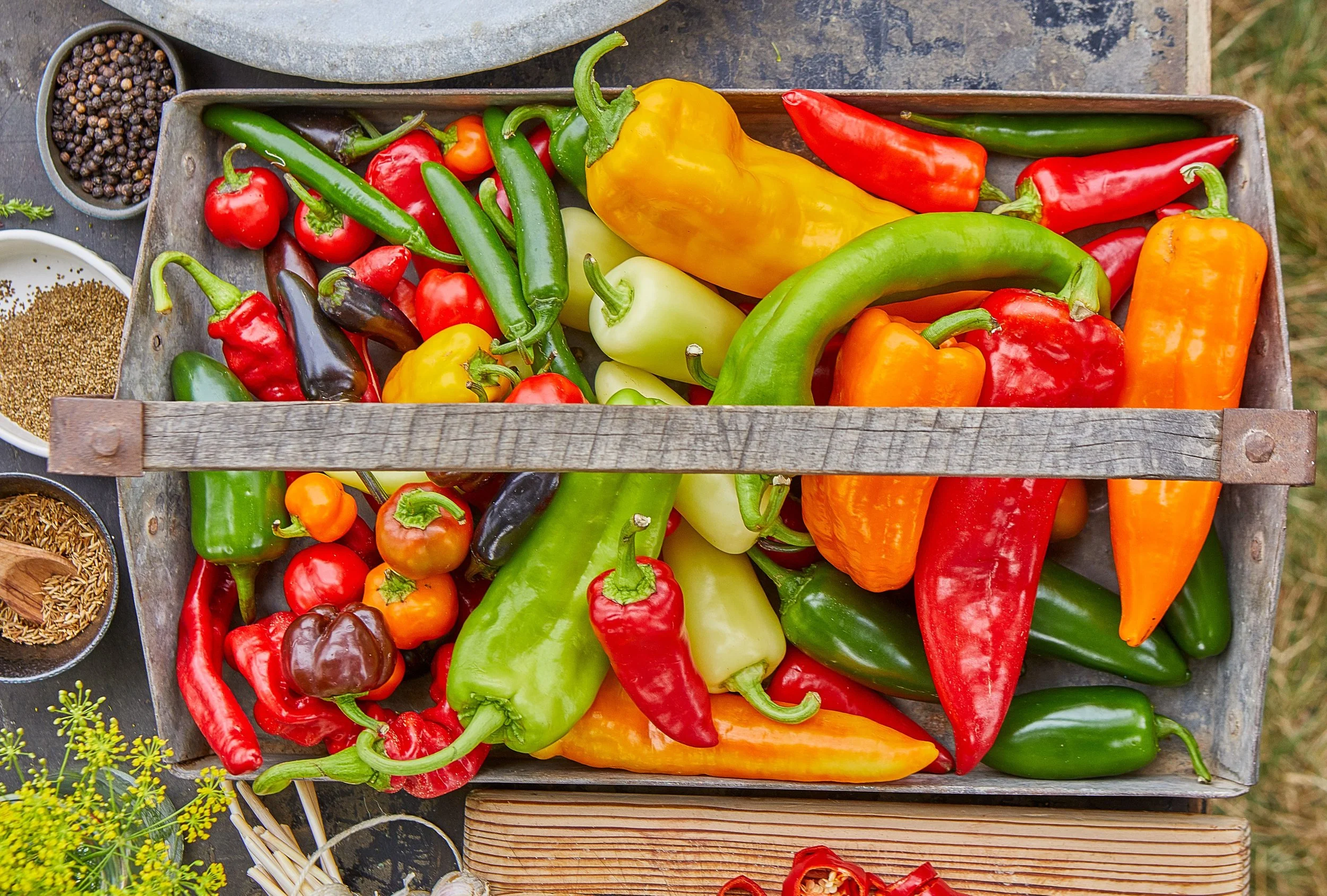 Ode to Peppers