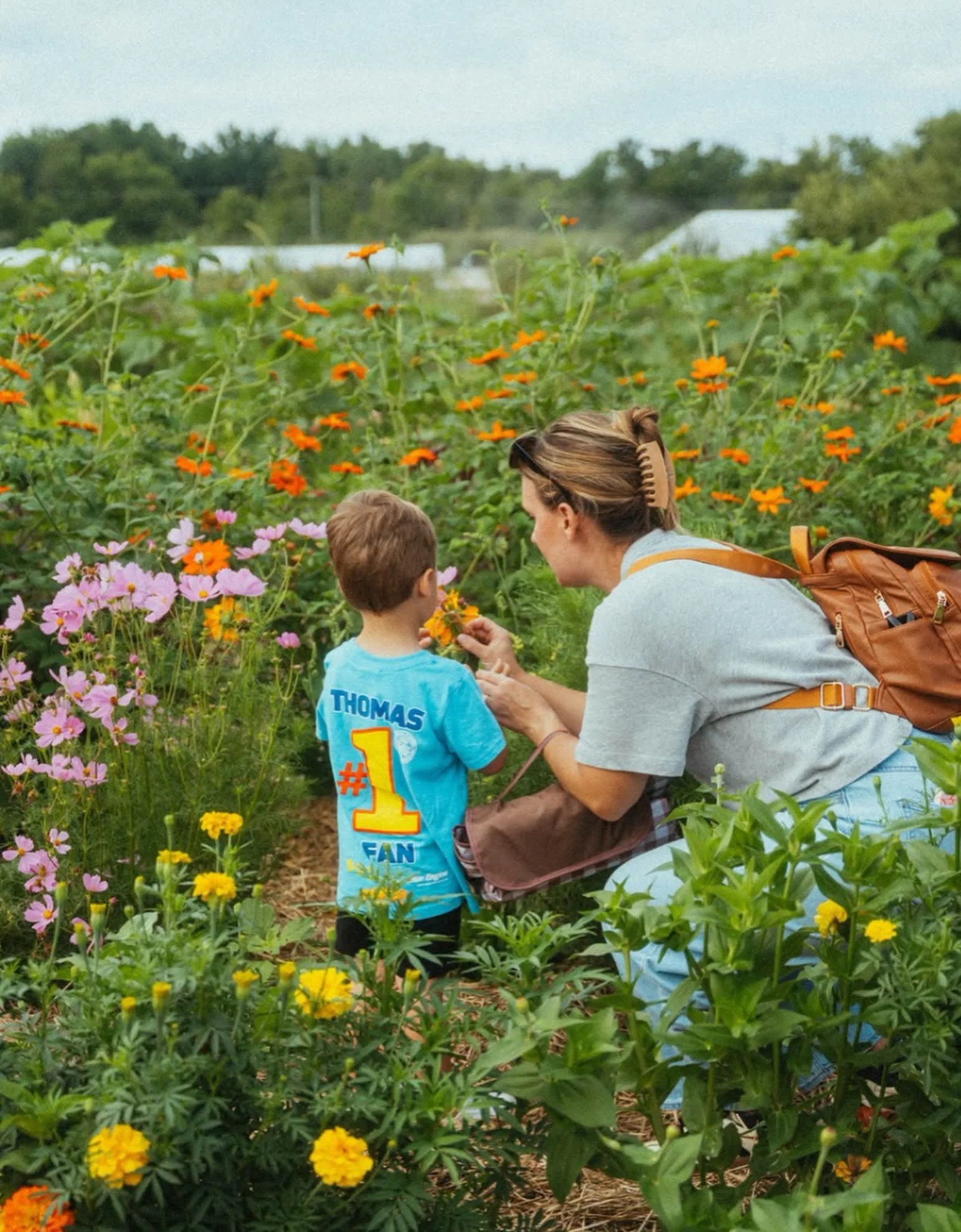 Flower Picking.jpg