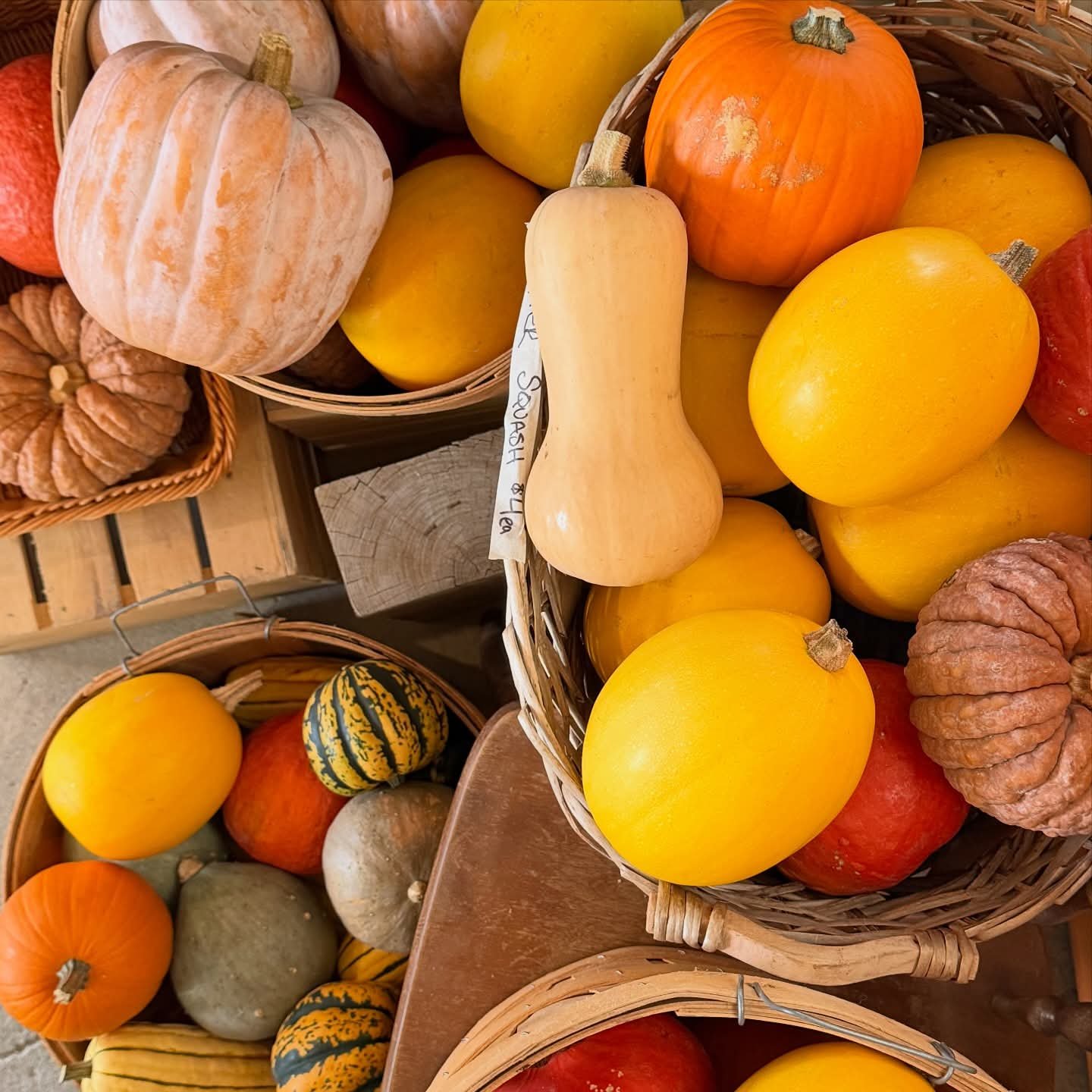 Squash.jpg