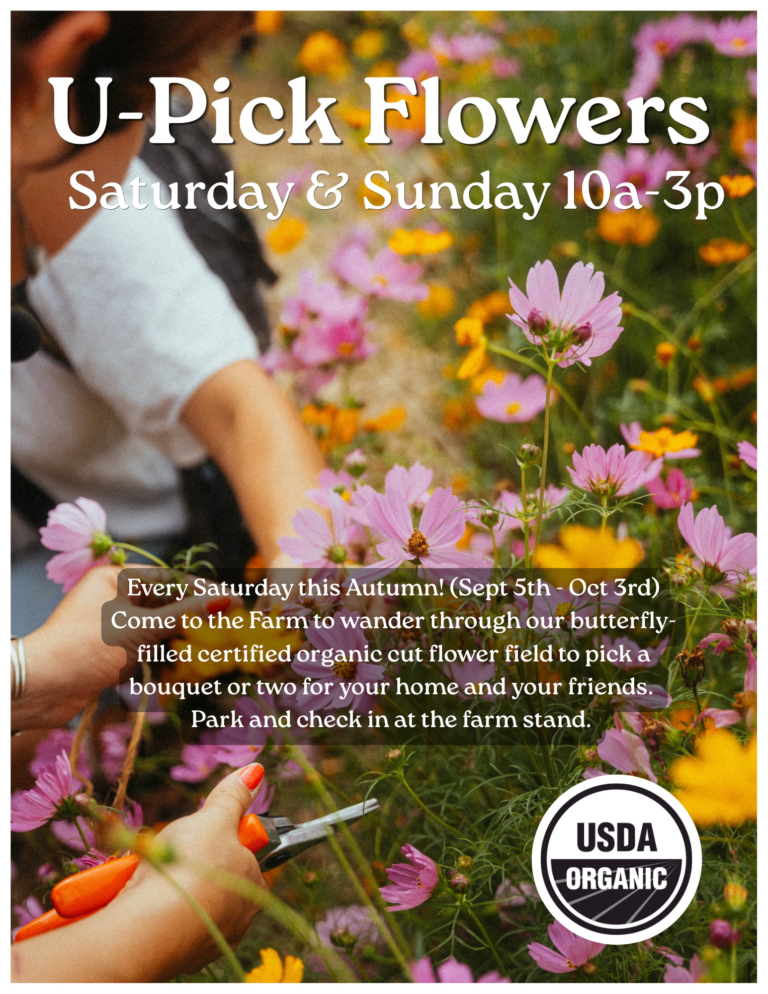 UPick Flowers &amp; Pumpkin Patch