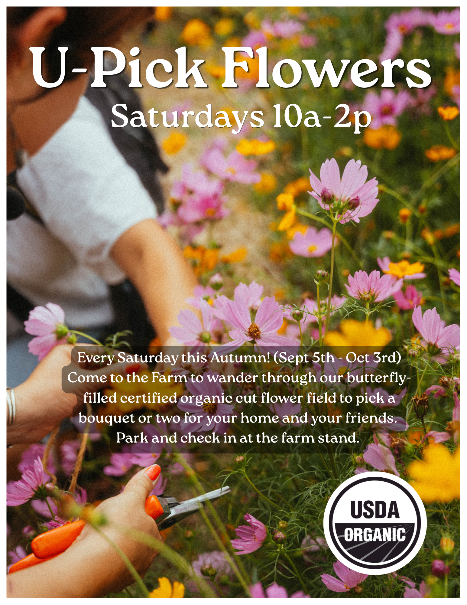 UPick Graphic-2.png
