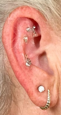 ear-seeds-image.png