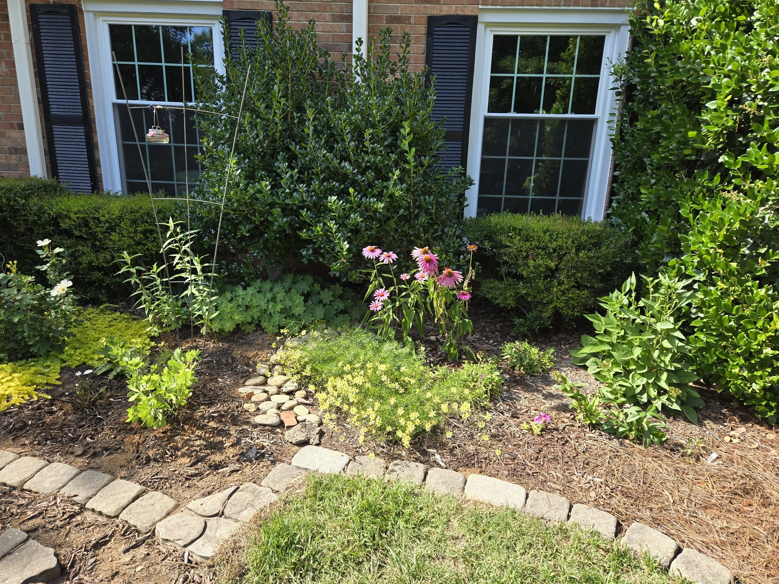 13 Months Post Installation: We've added swamp milkweed, False Indigo, Bigroot Geranium, Purple Coneflowers and Black Eyed Susan. Threadleaf coreopsis from original planting in bloom along with Purple Coneflowers.