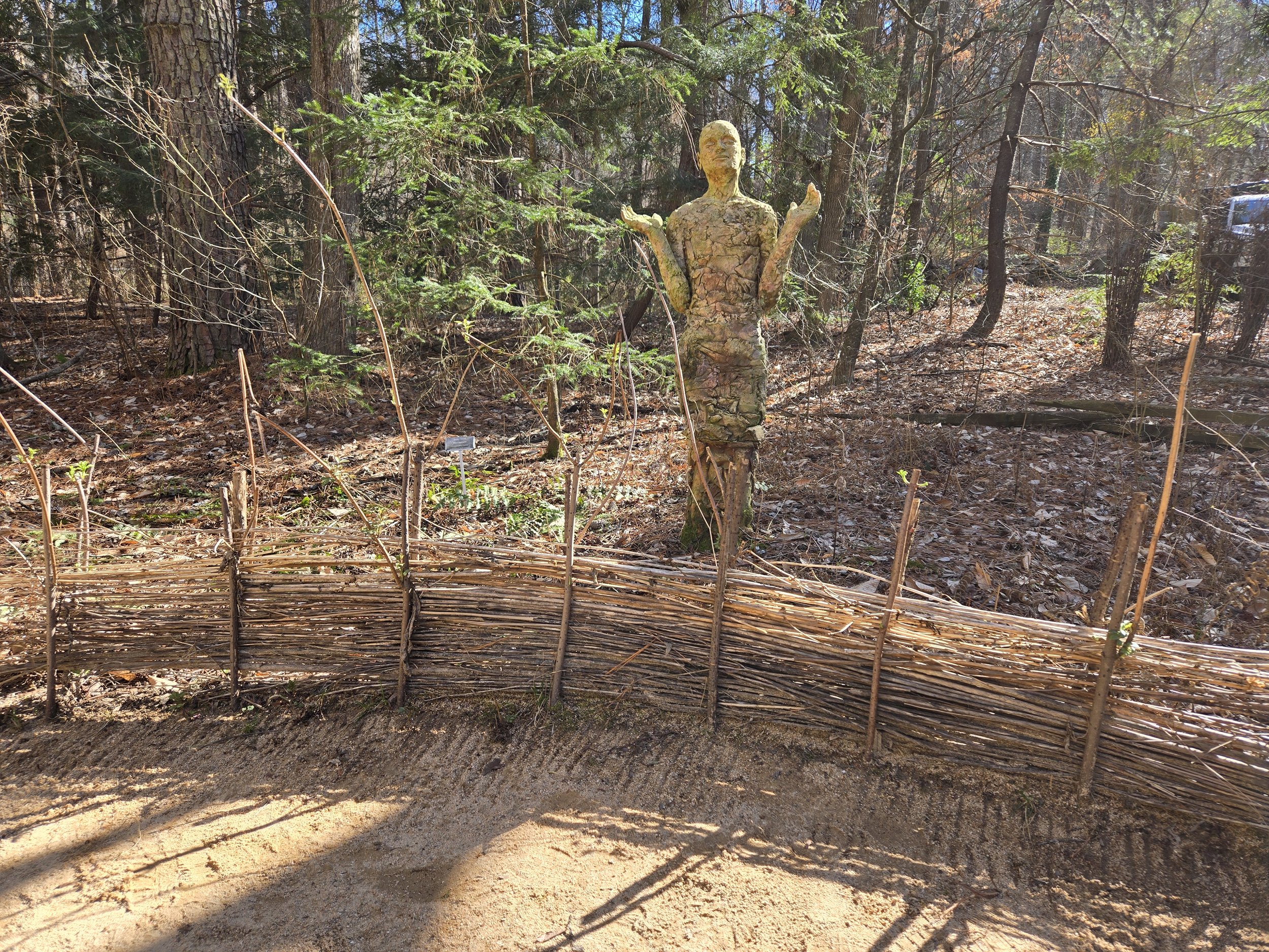 dead hedge wall at North Carolina Botanical Garden in Chapel Hill