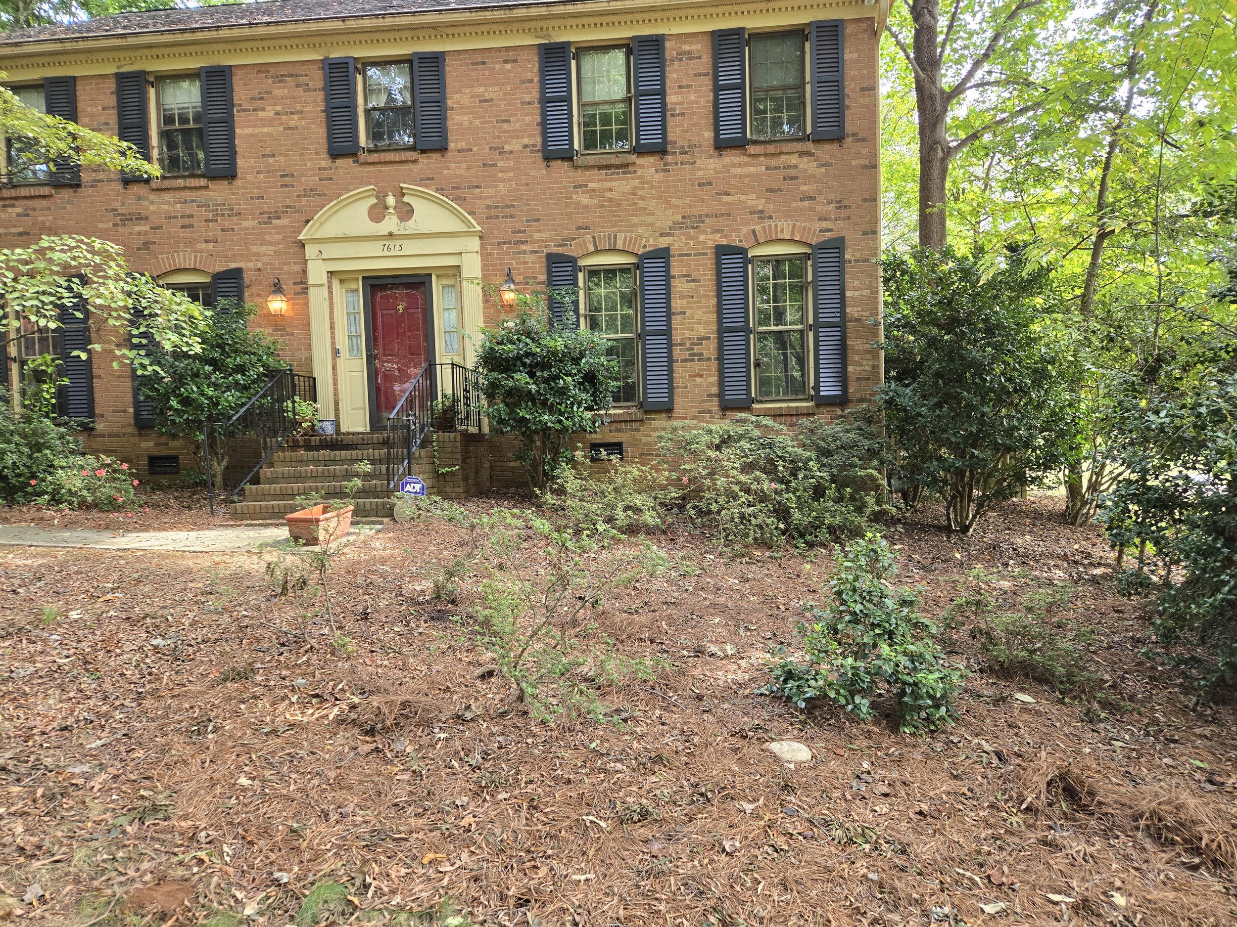 Before - front right shrub bed