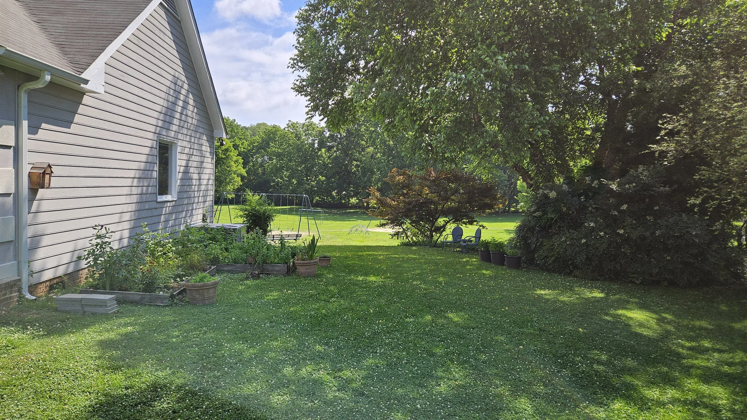 Before - side yard