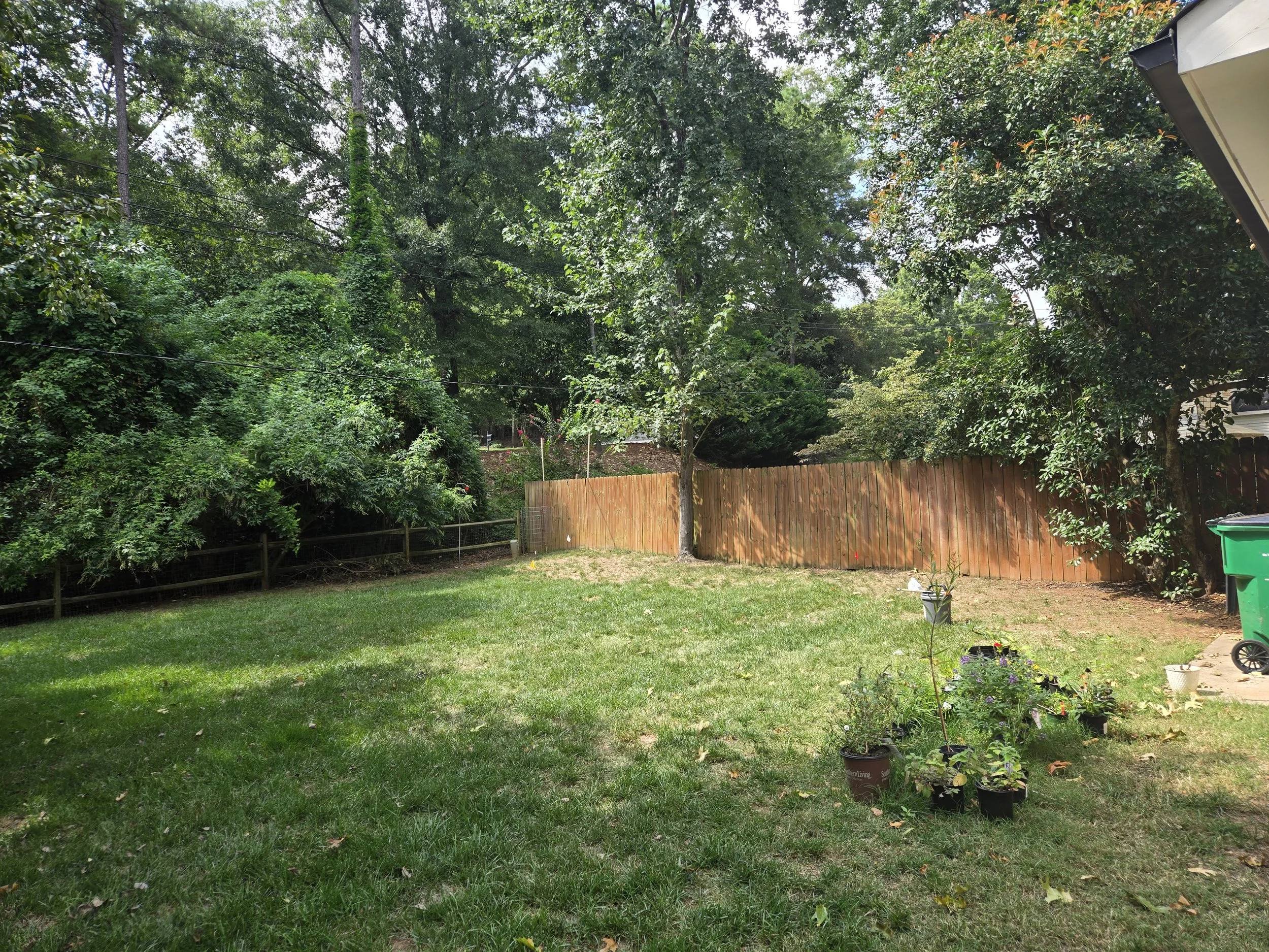 Before - back yard lawn area