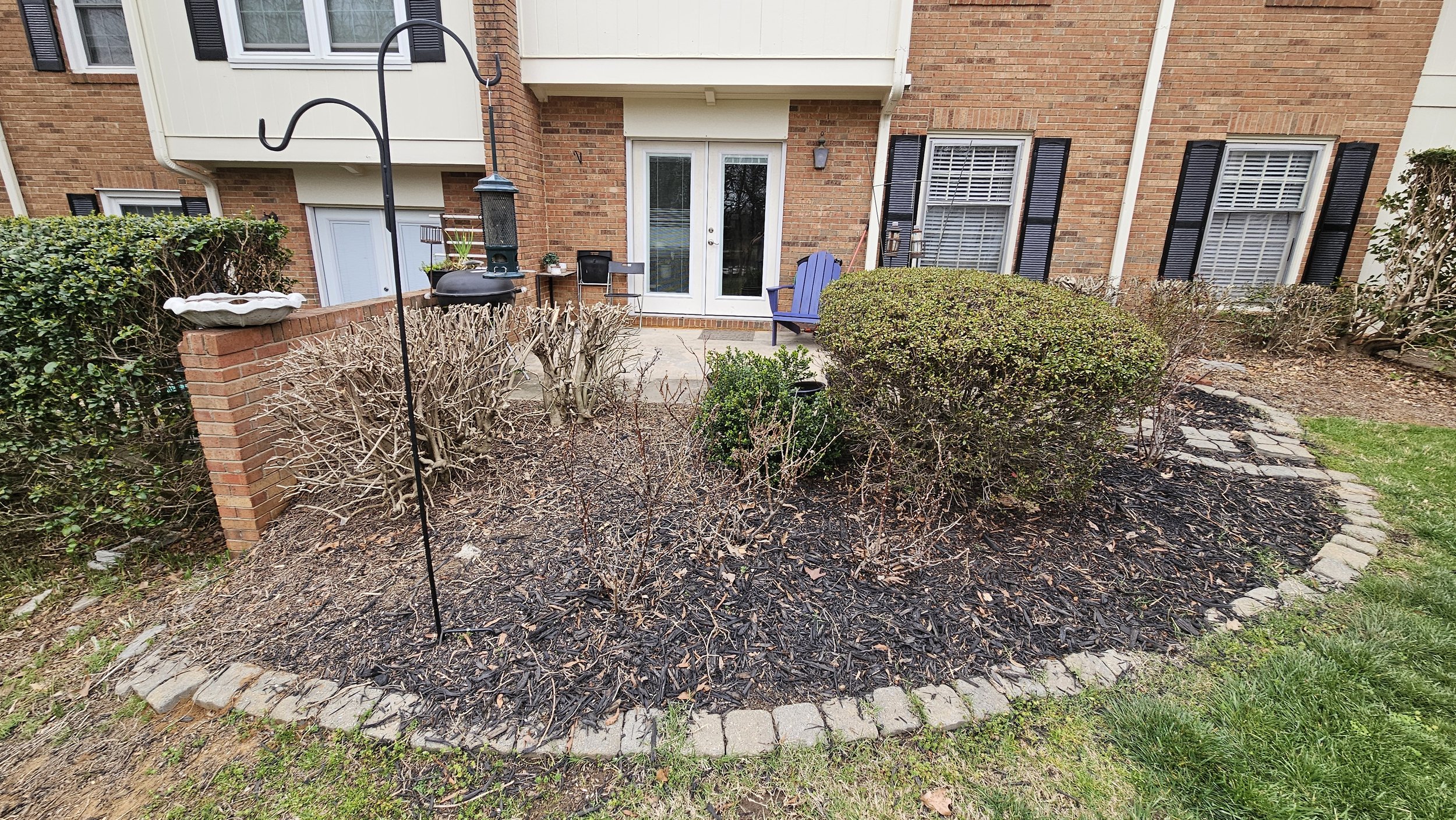 Before: Bare planter with Japanese Holly and Azaleas in back