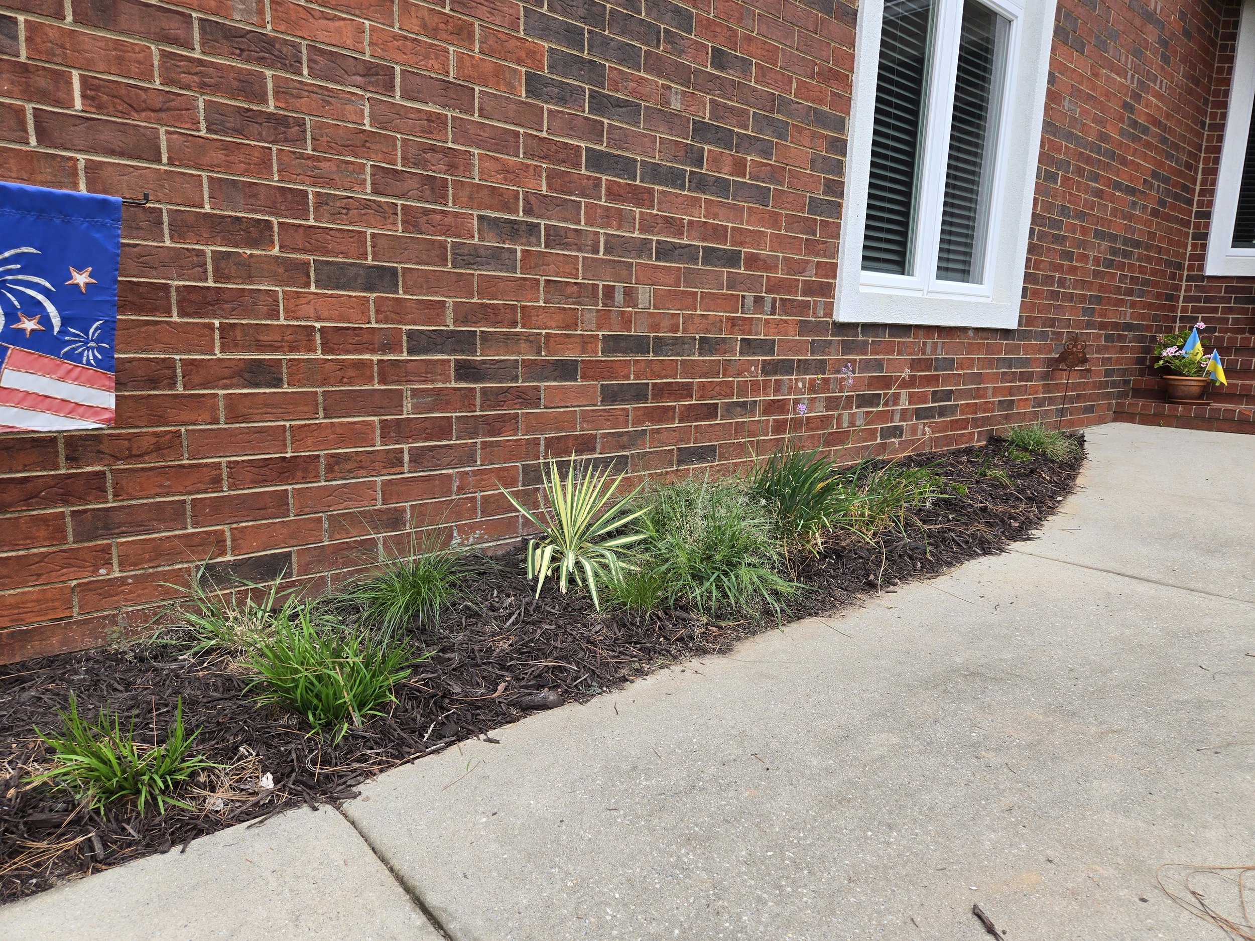 3 Months After (Front Entrance Walk Border): Prairie Dropseed, Purple Lovegrass, Color Guard Yucca and Moss Phlox at end.