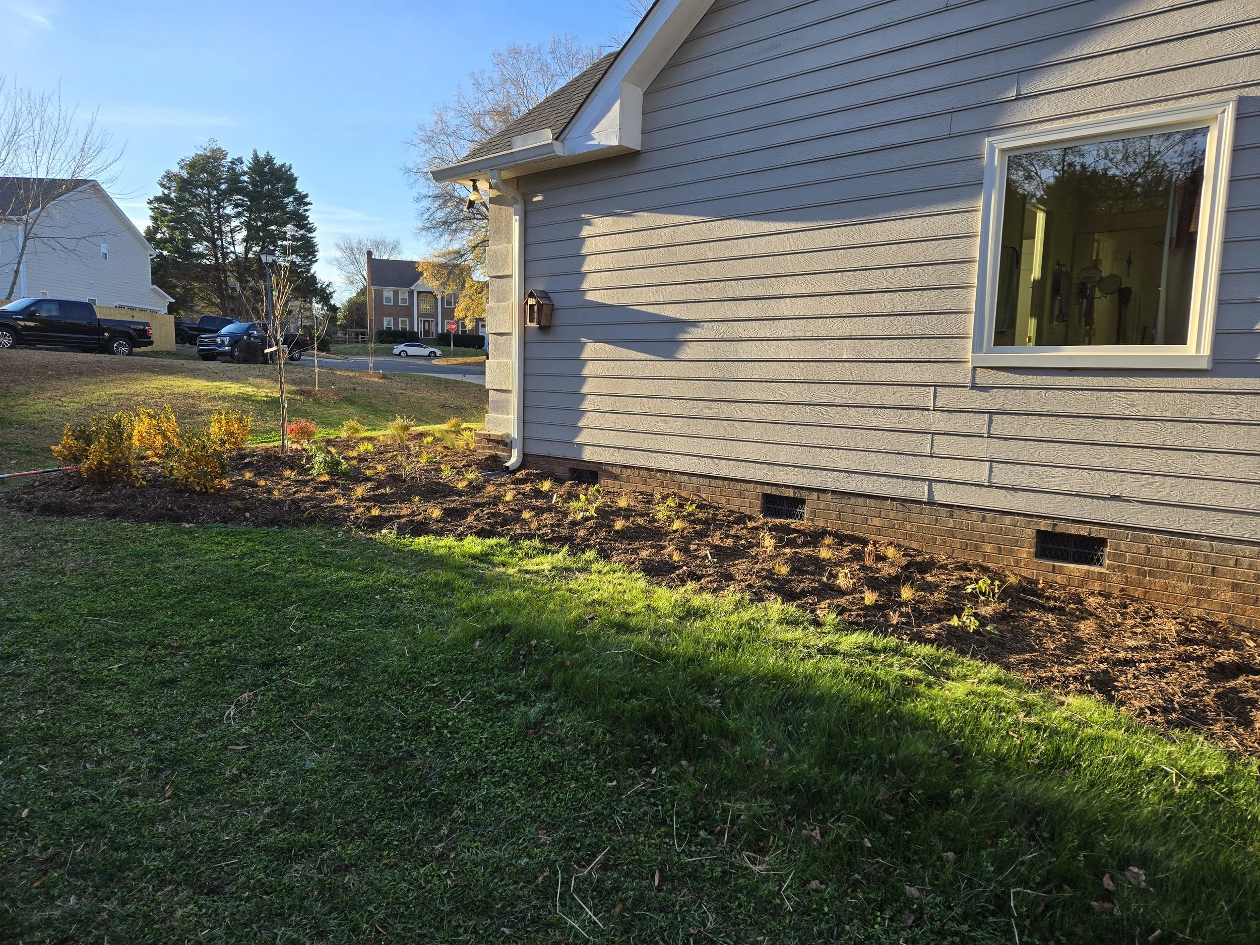 Overgrown mint dominated vegetable garden replaced with a native mint family (mountain mint, bee balm, beautyberry) dominated competitive planting.