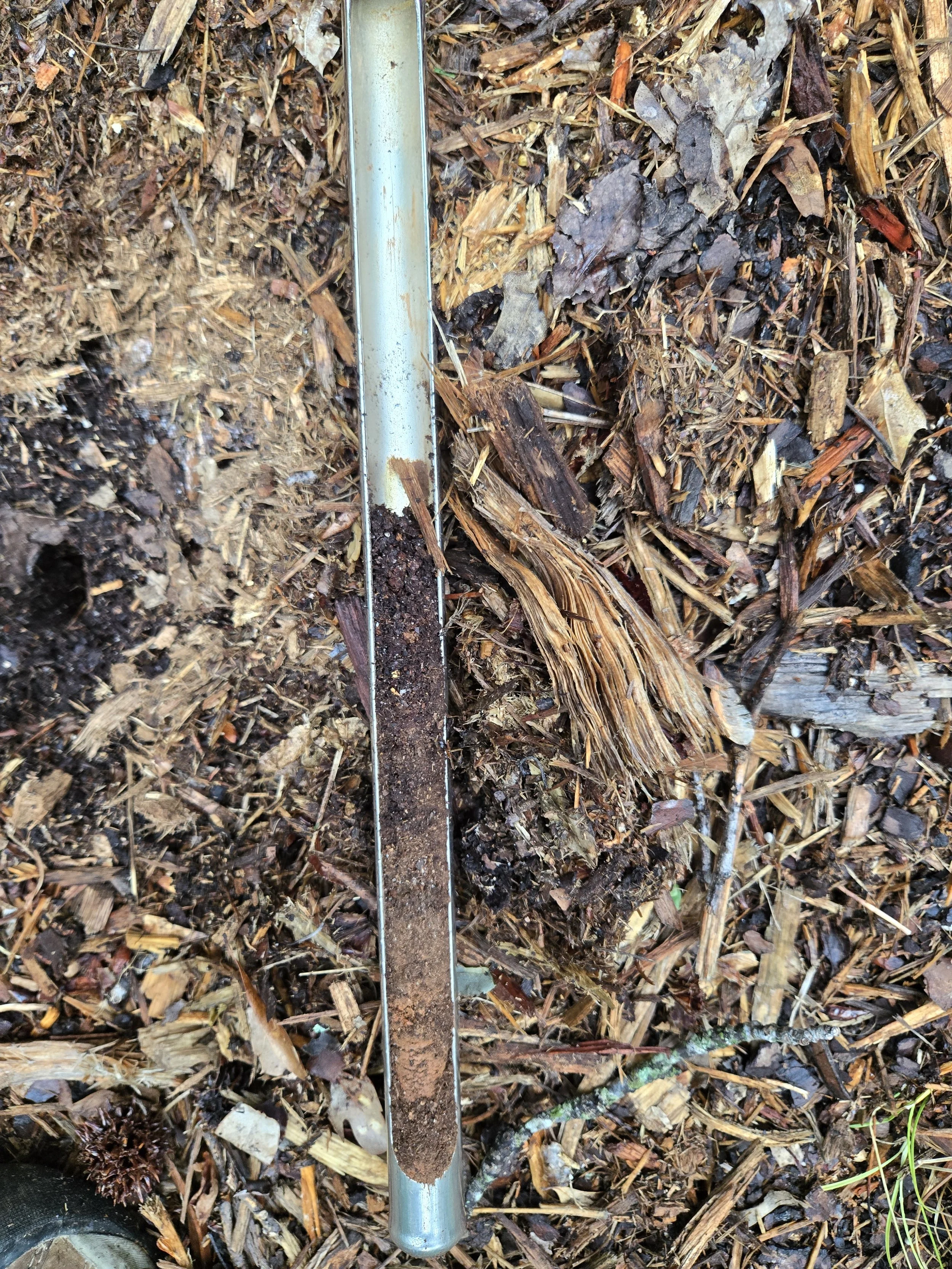 A metal soil pH testing probe resting on wood chips and soil in a forested area.