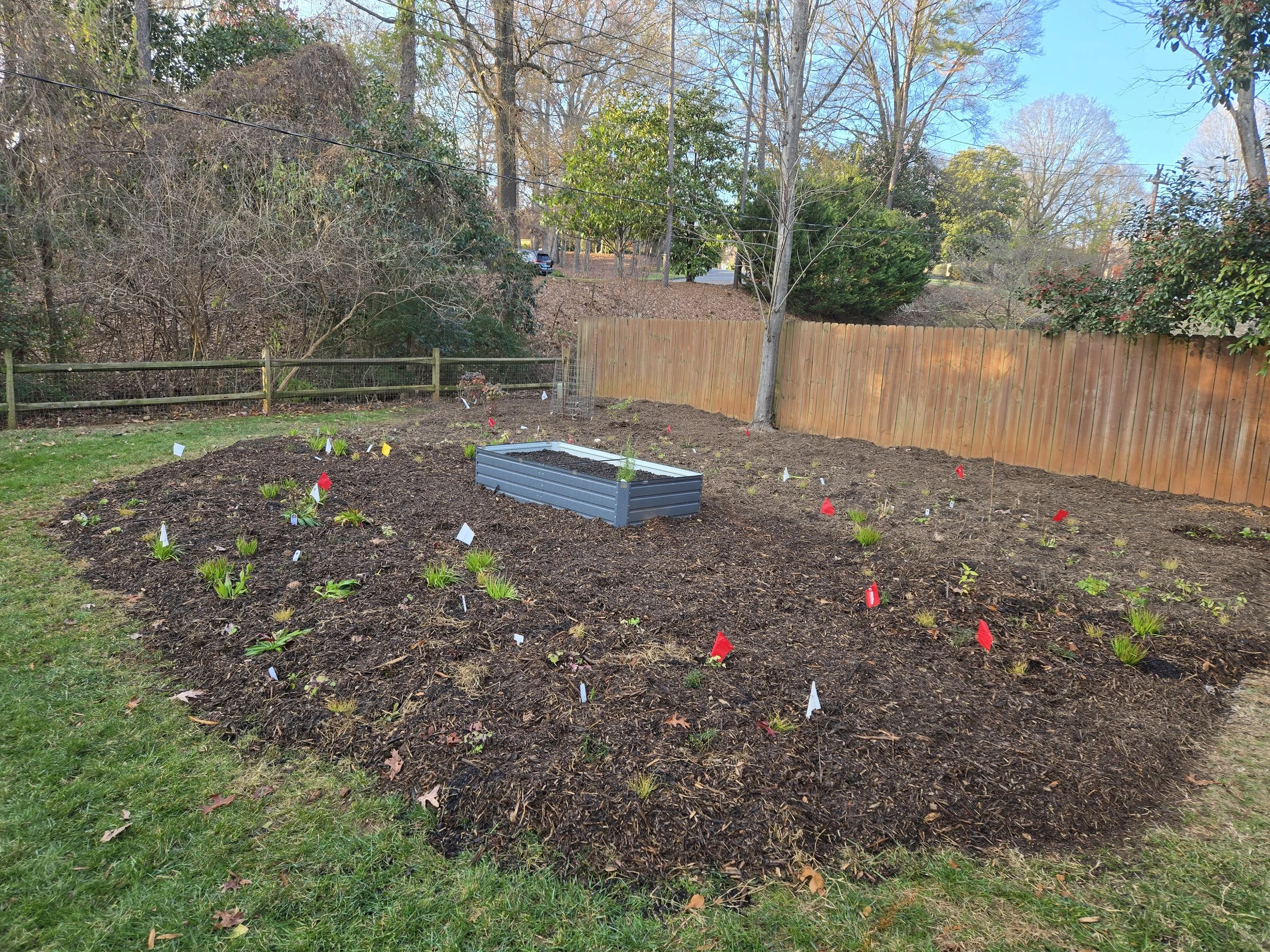 Backyard Pollinator and Herb Garden
