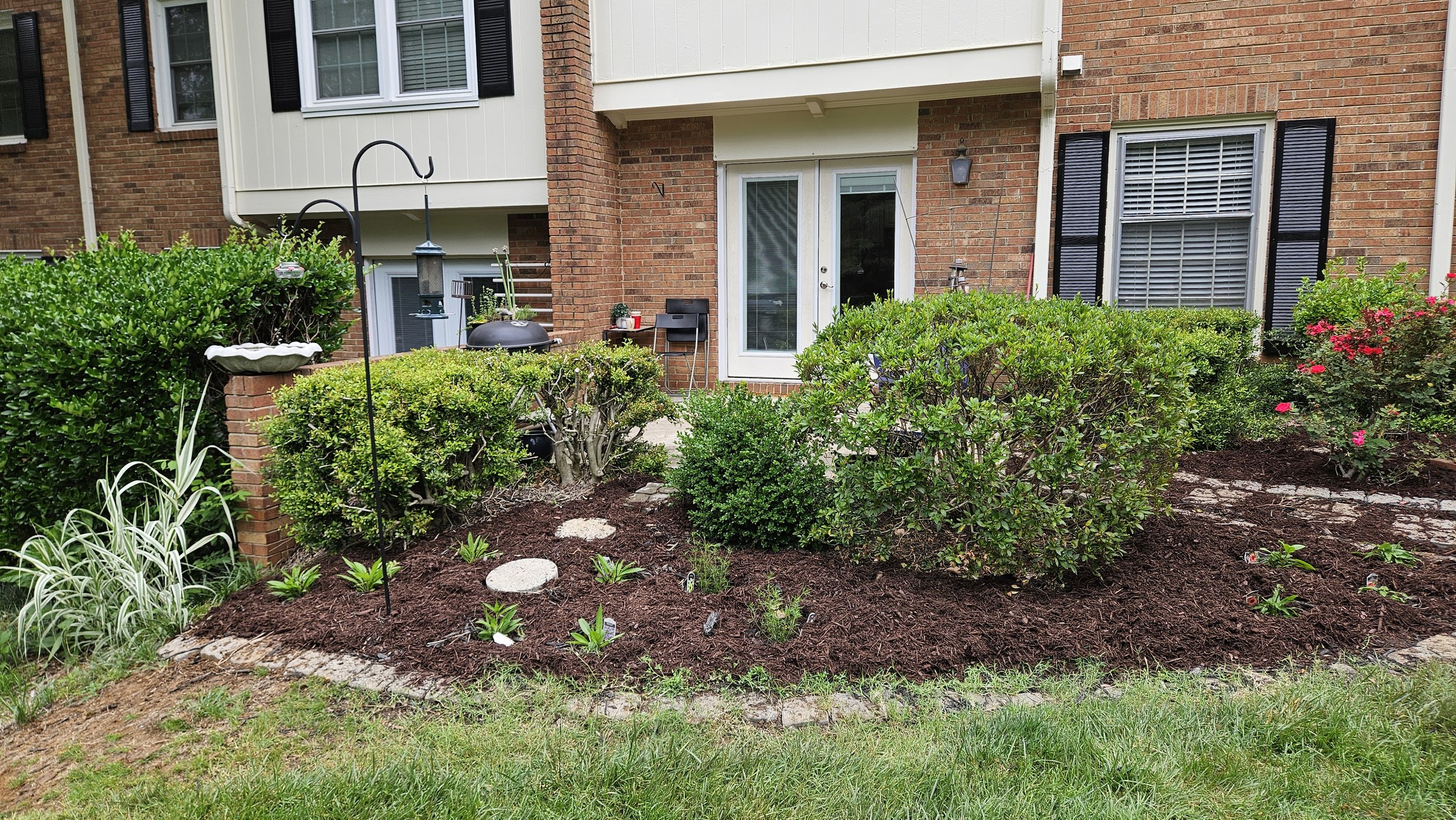 After Planting (May 2024): Peachies Pick Stokes Aster, Moonbeam Threadleaf Coreopsis (left to right)