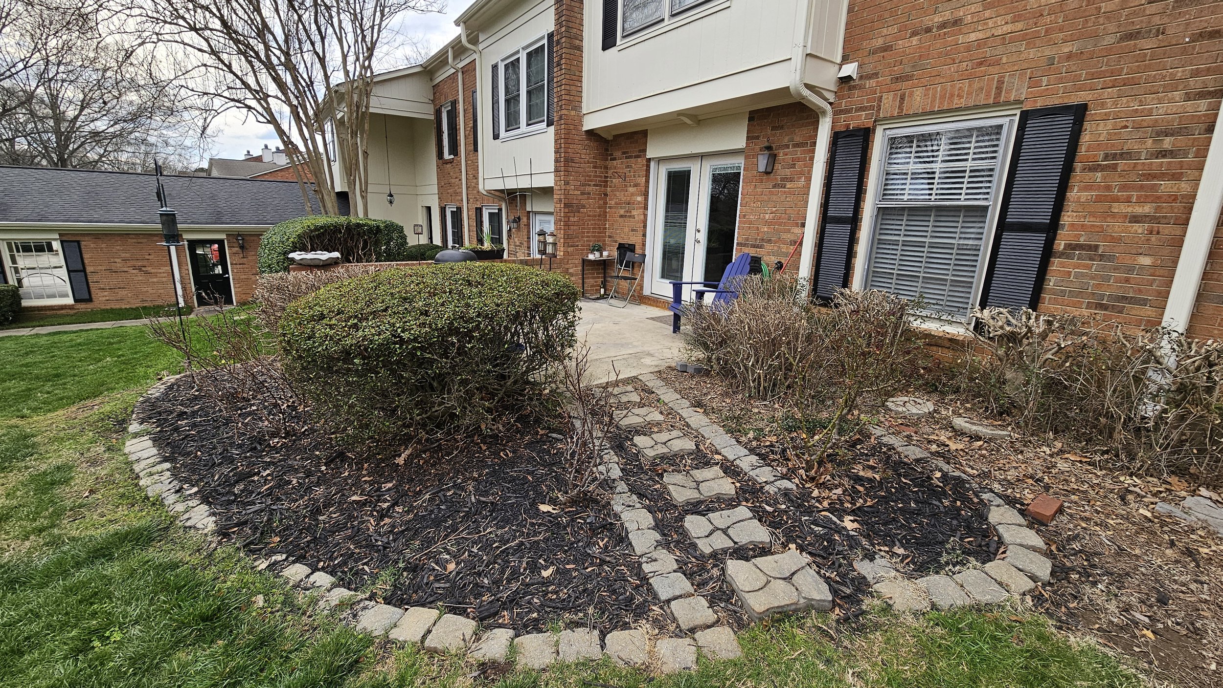 Before: Azalea, Rose Bush and Japanese Holly in background.
