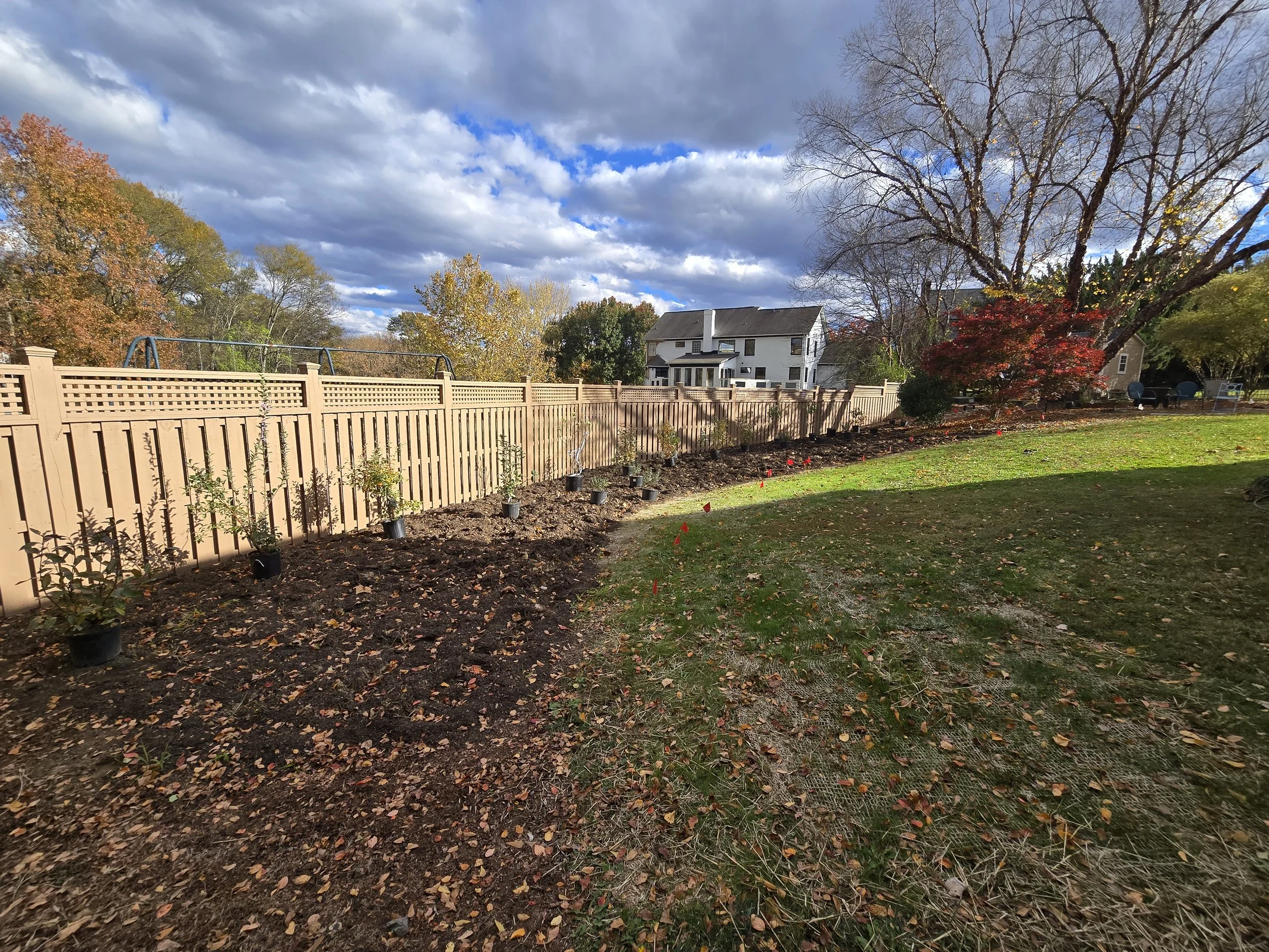 After - back border with shrubs / vines against the fence and perennials/grasses in the foreground.