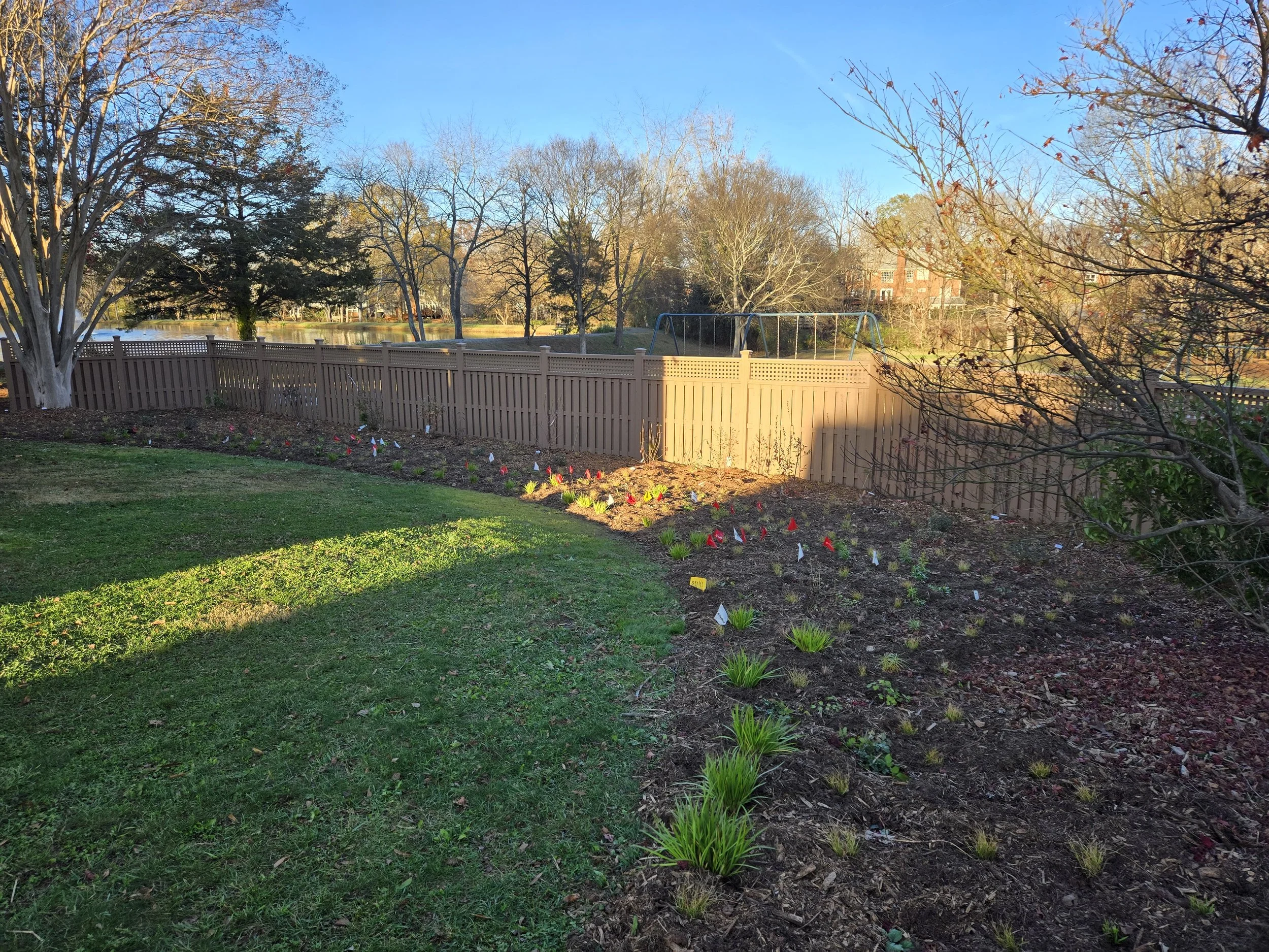Newly planted mixed border
