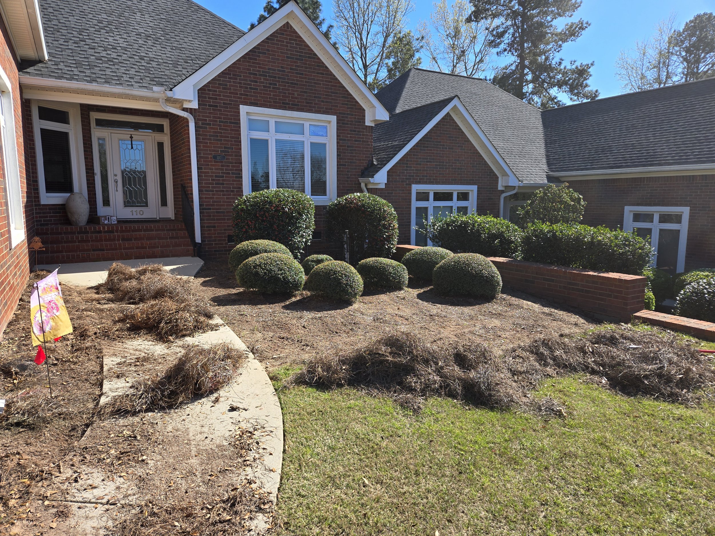Front: After removal of middle Chinese Holly