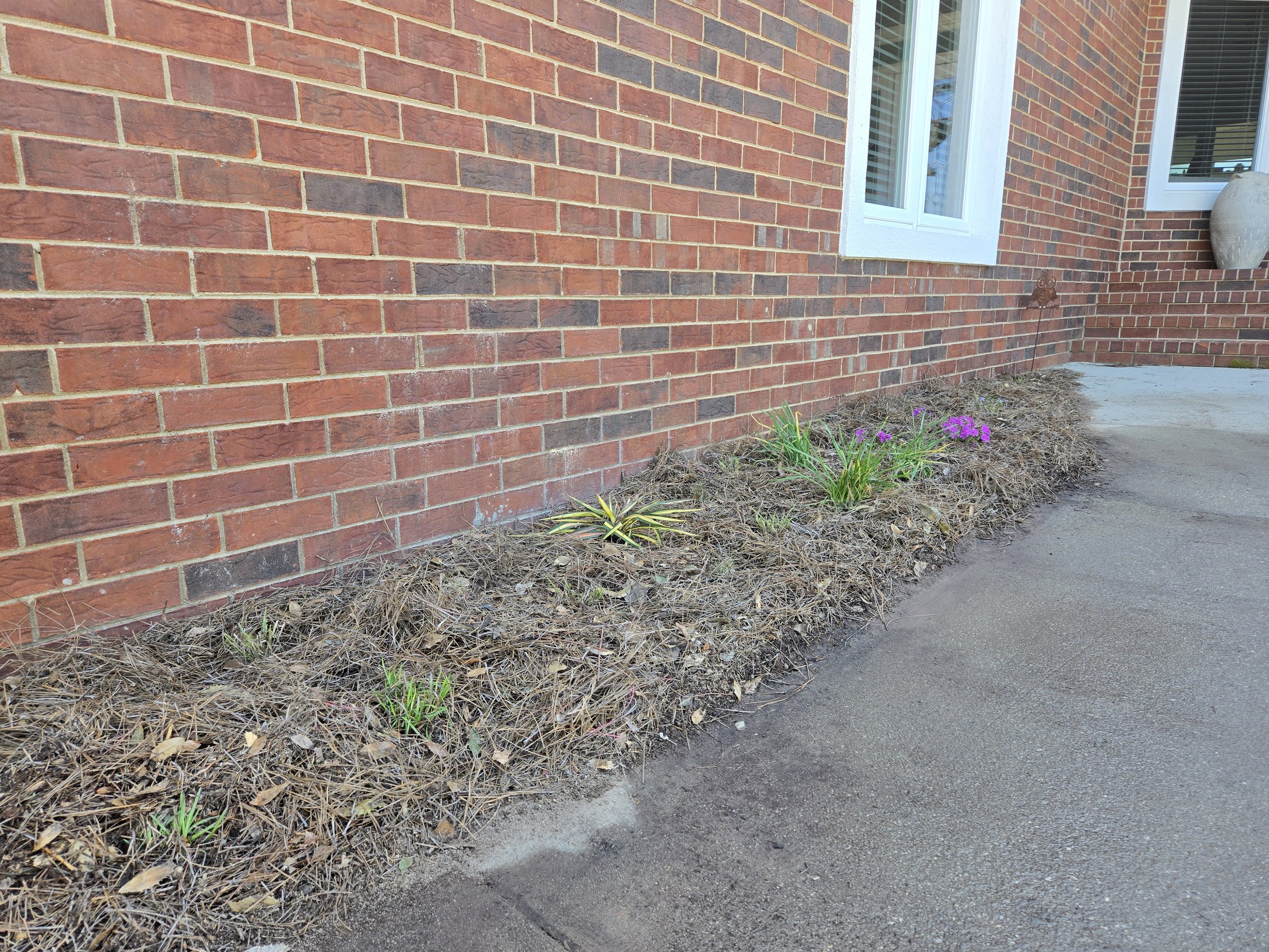 After: Front entrance walk bordering back of garage