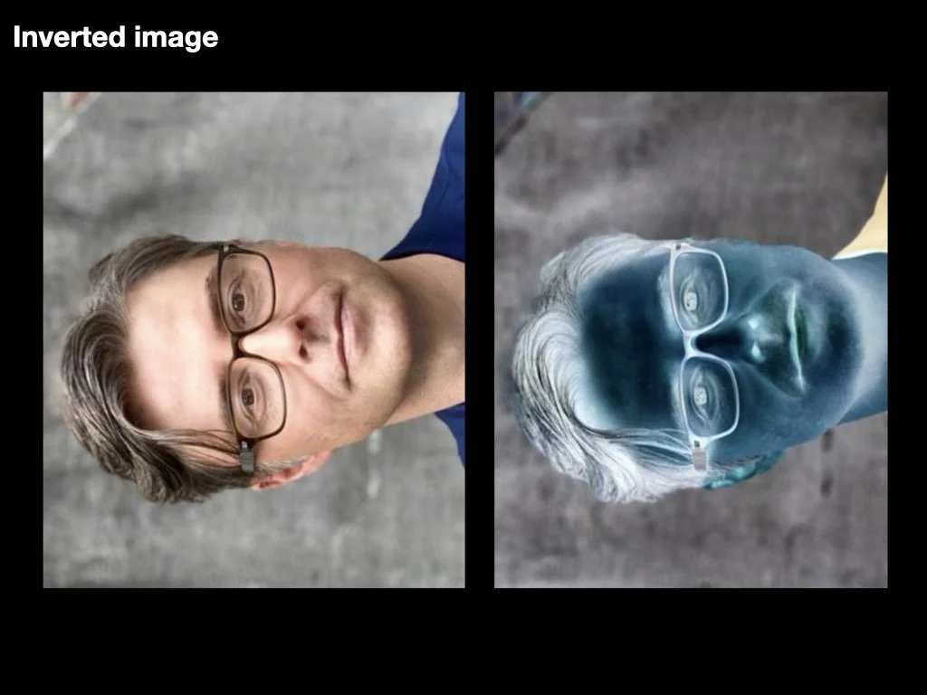 website edition research.007.jpeg