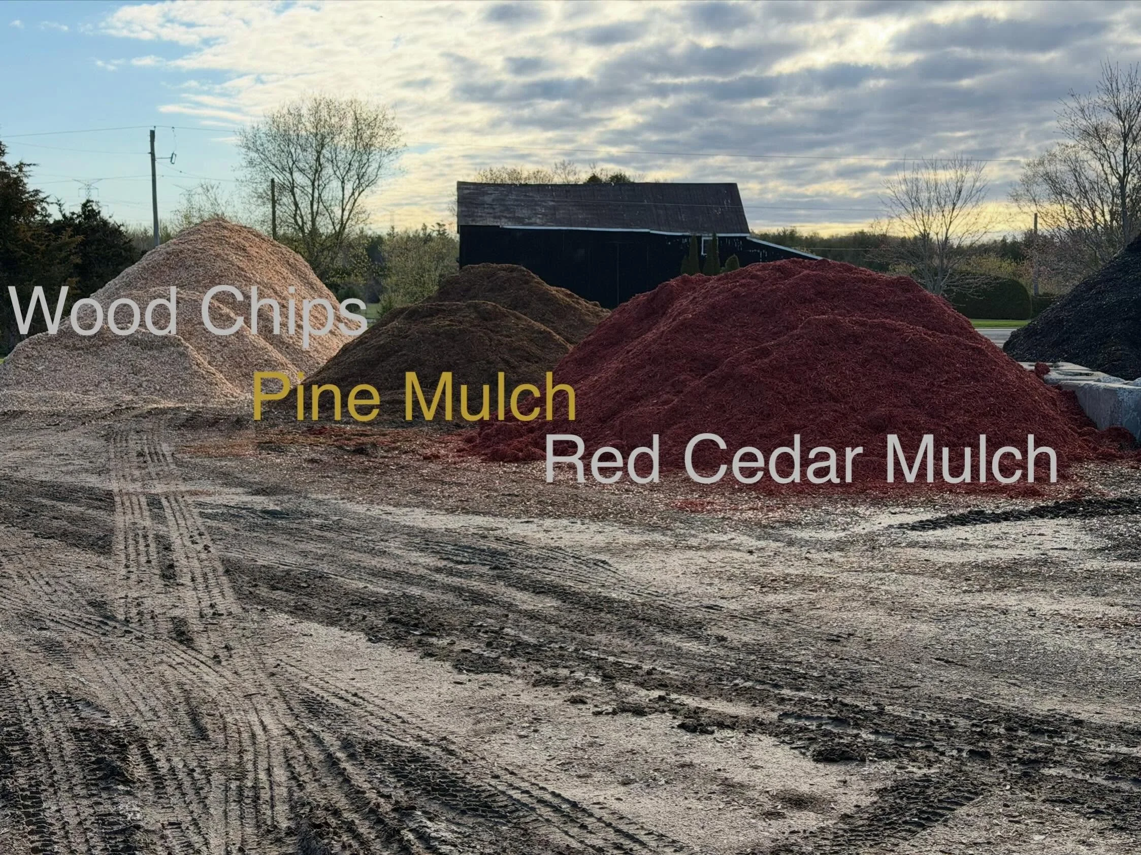 Just a few of the Mulches to help in hand all your gardens