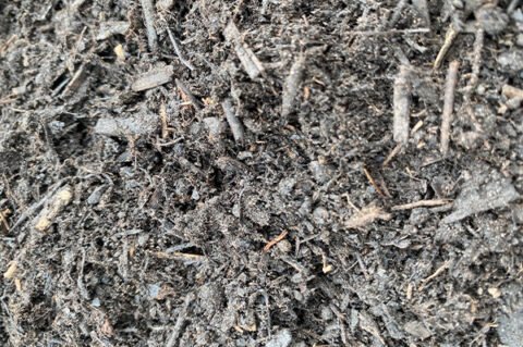 compost-update-480x319.jpg