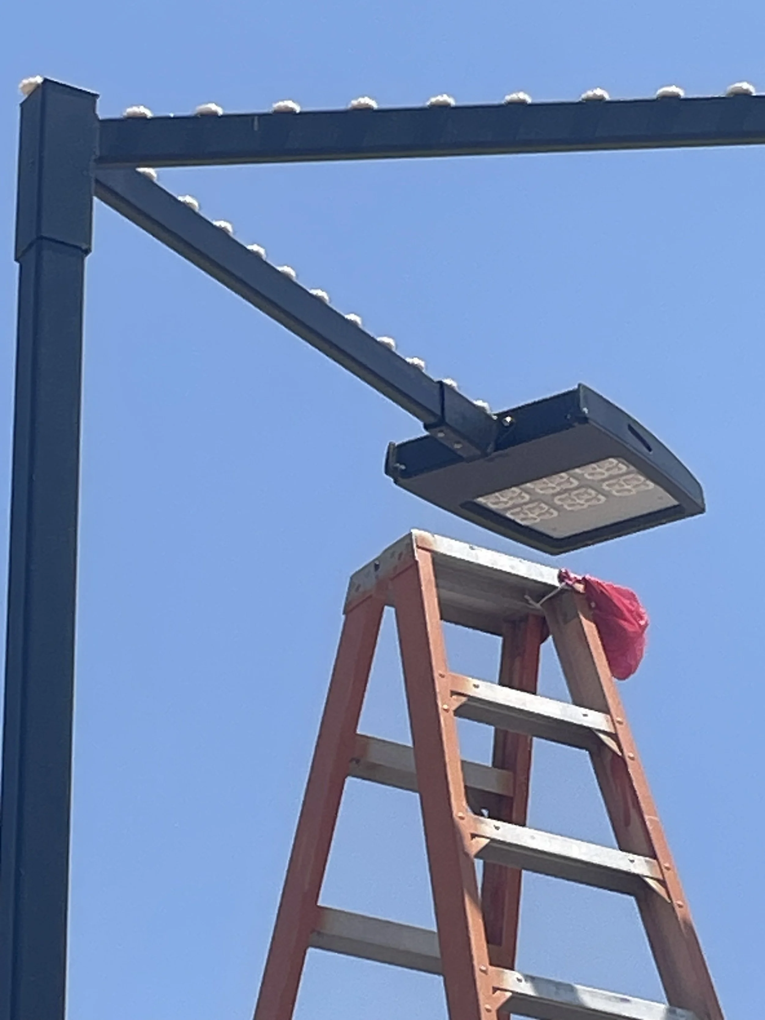 Pigeon proofing with gel discs