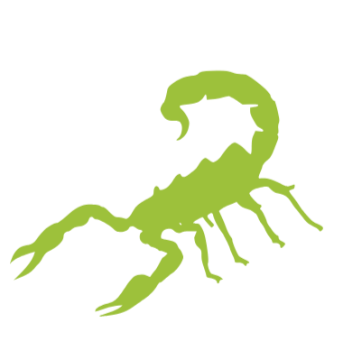 Scorpion Control