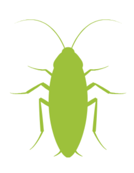 General Pest Control