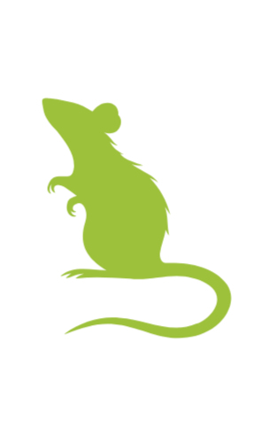 Rodent Monitoring