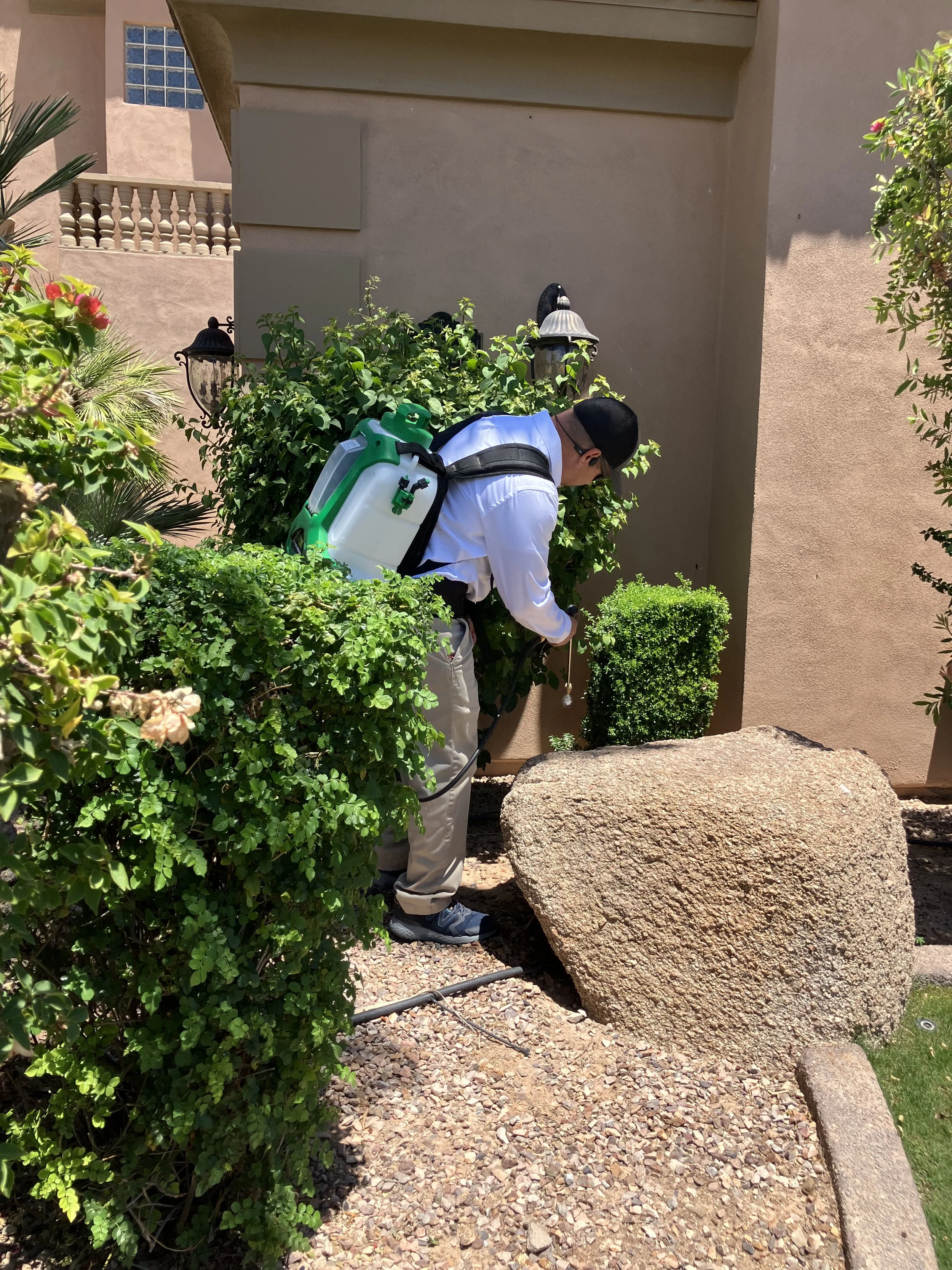 Pest Free AZ - General Pest Control