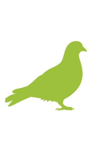 Bird Deterrent Check
